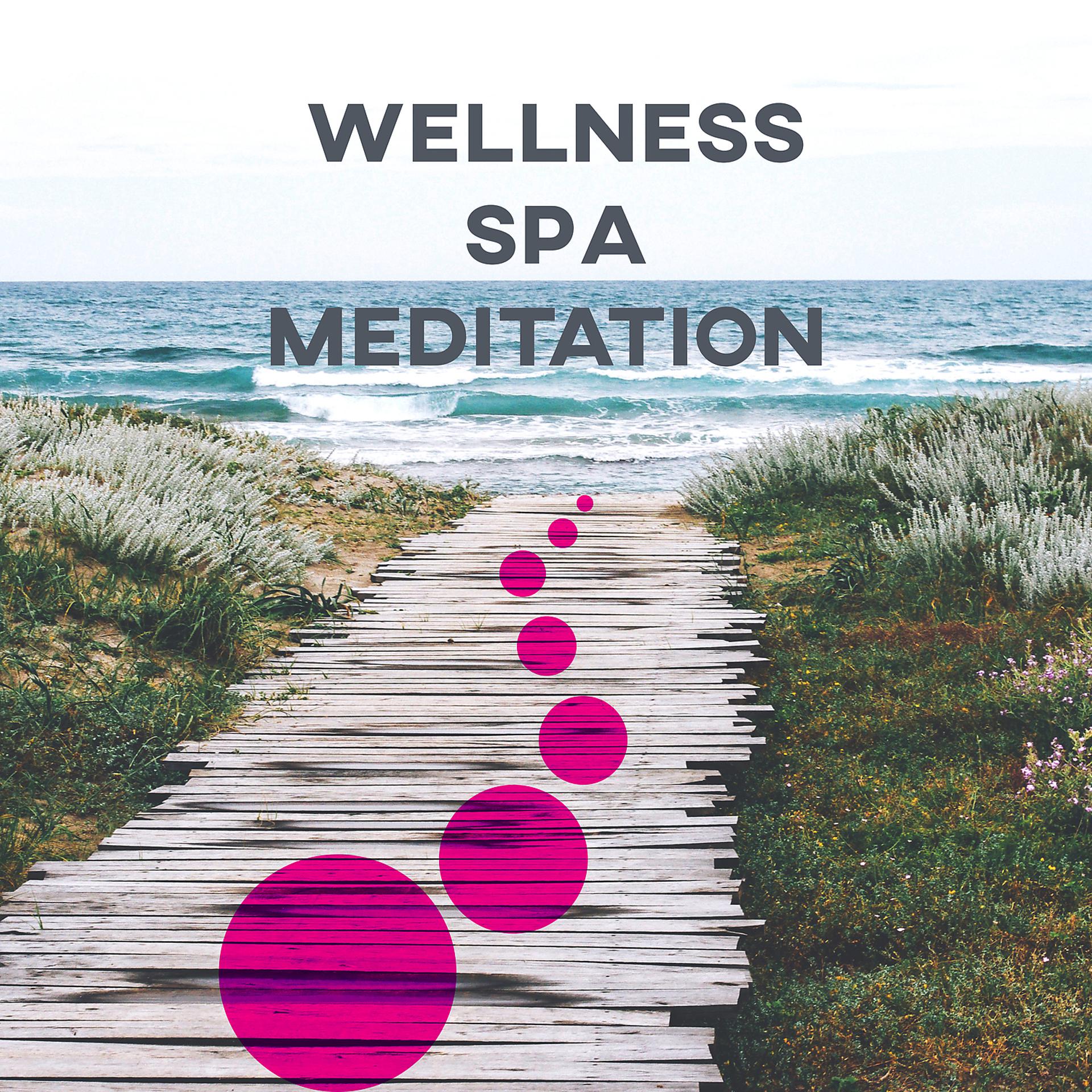 Постер альбома Wellness, Spa & Meditation – Relaxing Tracks for Serenity, Deep Sleep, Massage, Spa, Meditation, Healing Touch, Positive Vibes