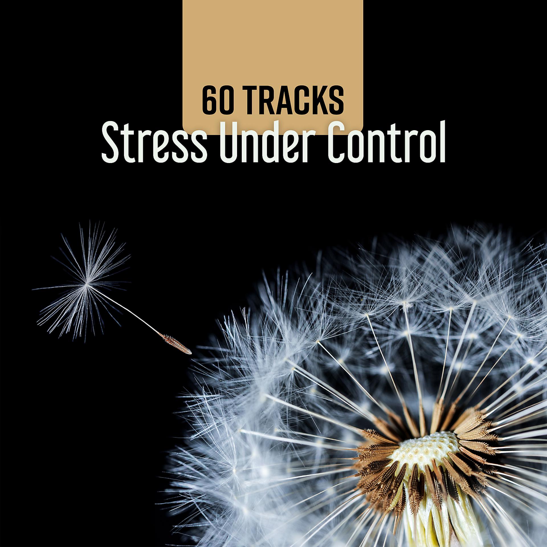 Постер альбома 60 Tracks: Stress Under Control, Deep Relaxation, Nature Ambience, Help with Insomnia & Anxiety, Meditation