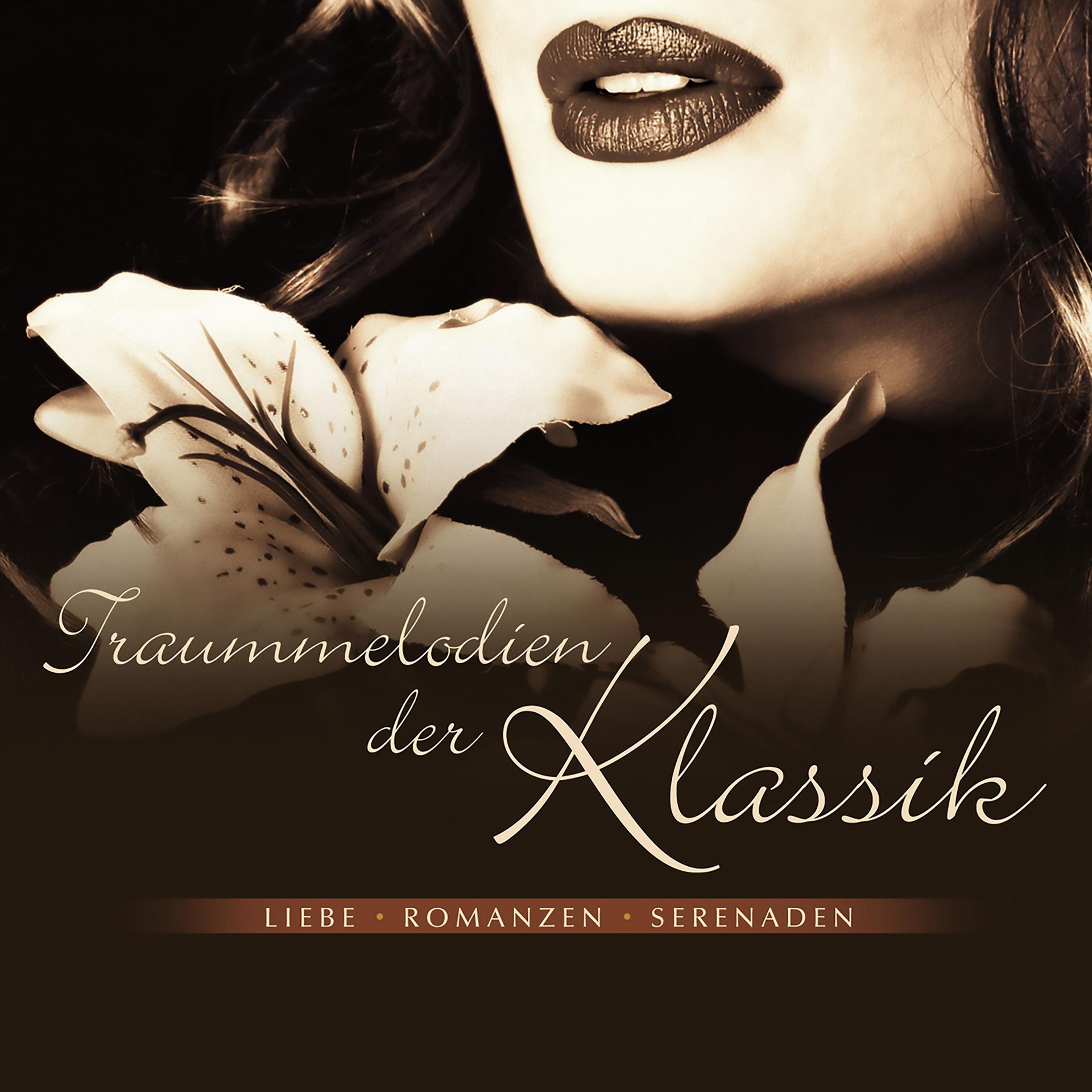 Постер альбома Traummelodien der Klassik