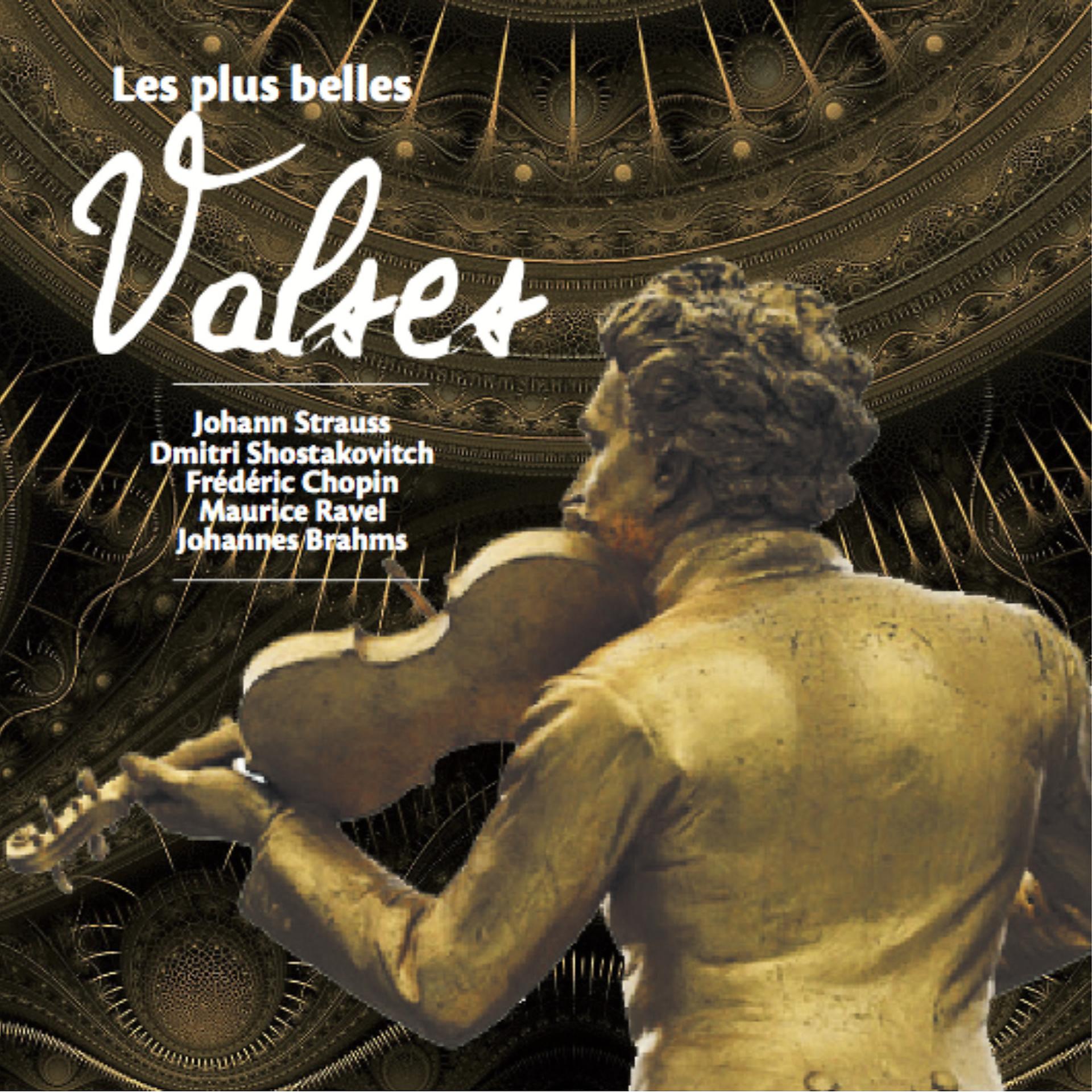 Постер альбома Les plus belles valses