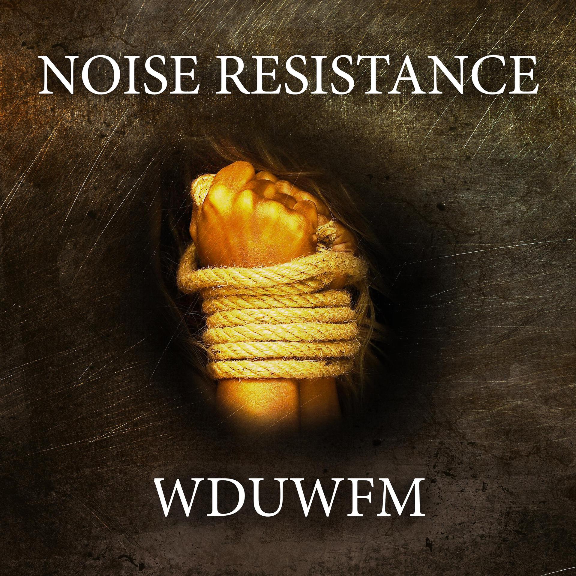 Постер альбома Wduwfm
