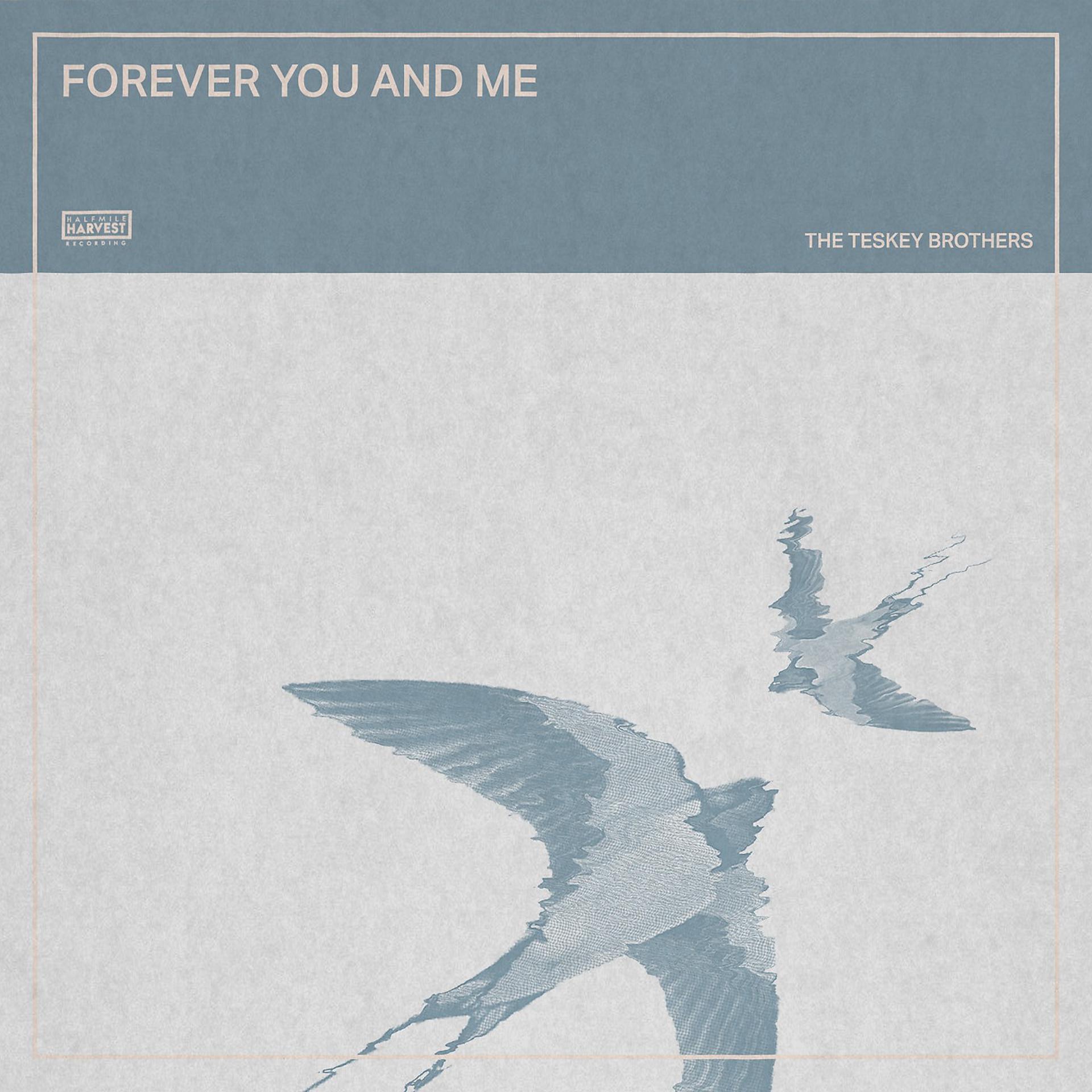Постер альбома Forever You and Me