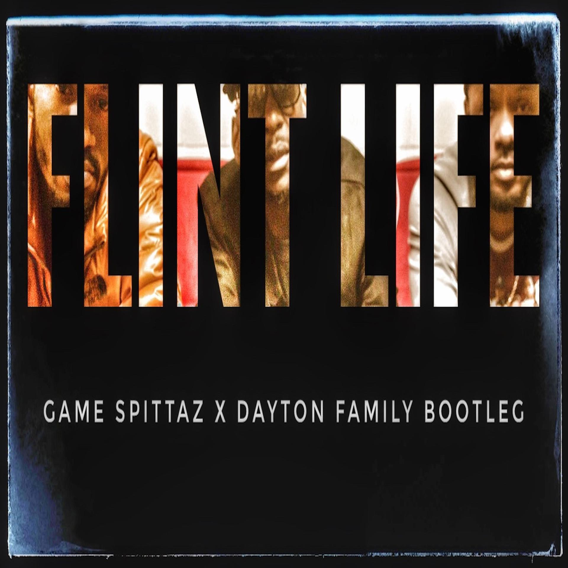 Постер альбома Flint Life