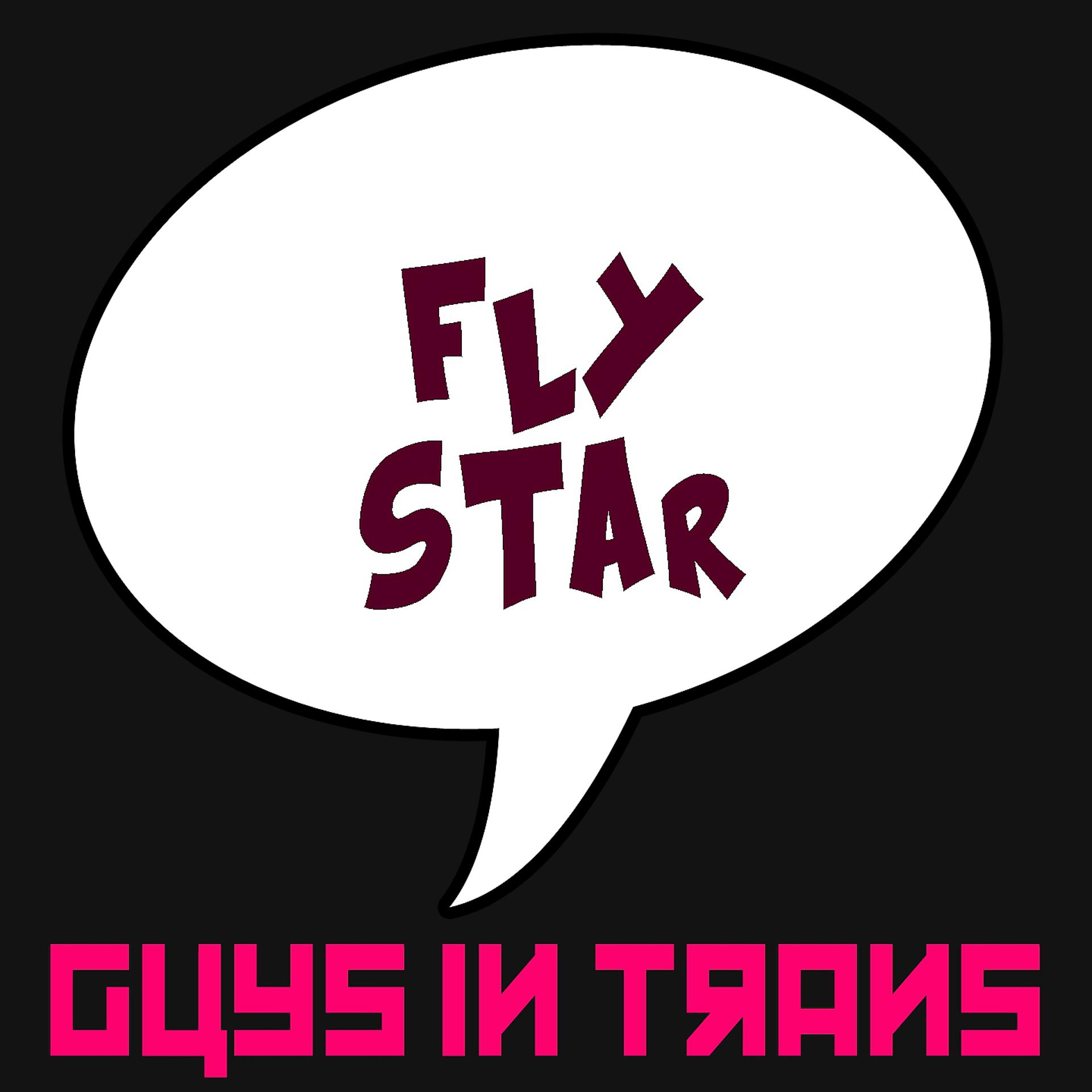 Постер альбома Fly Star