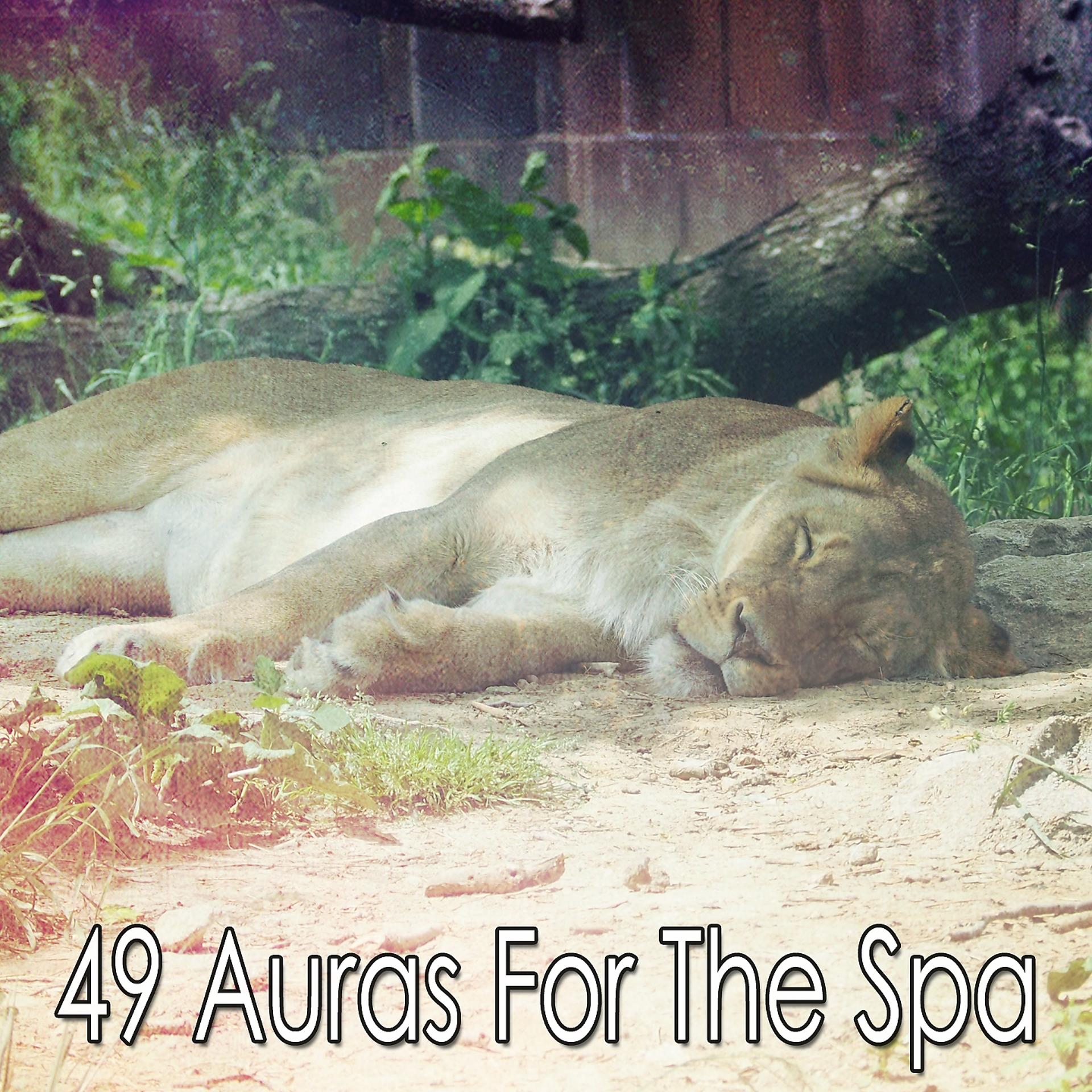 Постер альбома 49 Auras For The Spa