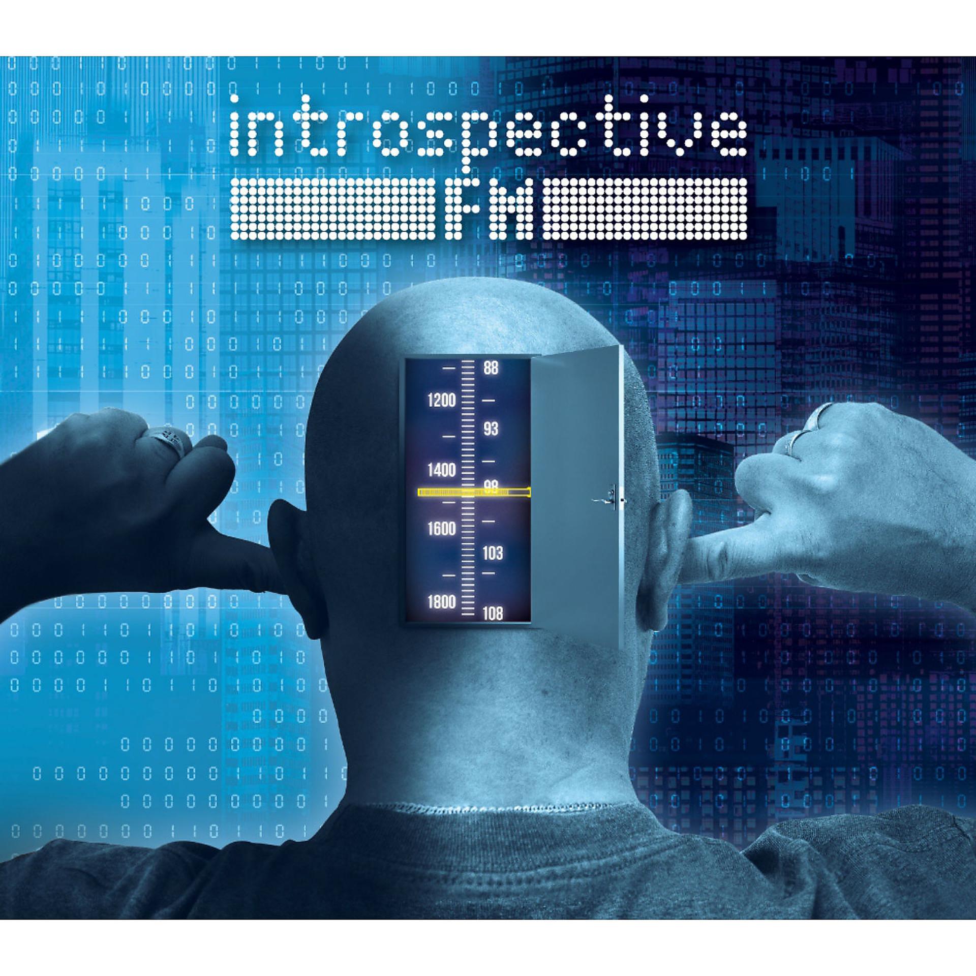 Постер альбома Introspective F.M.