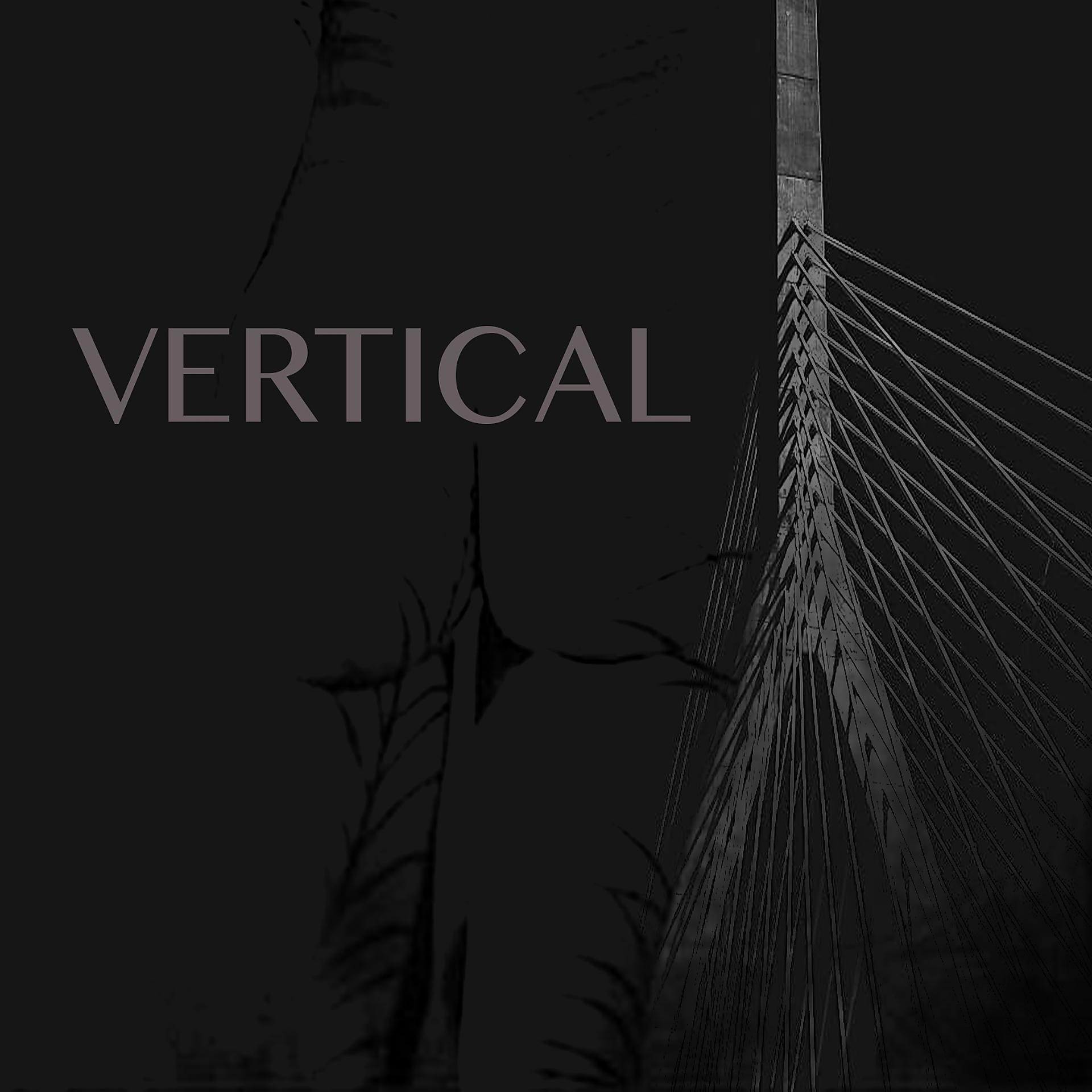 Постер альбома Vertical