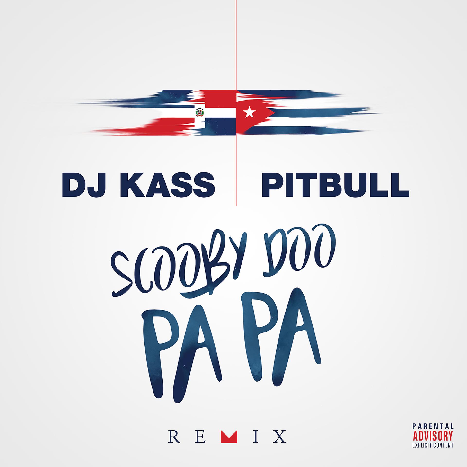 Постер альбома Scooby Doo Pa Pa (Remix)
