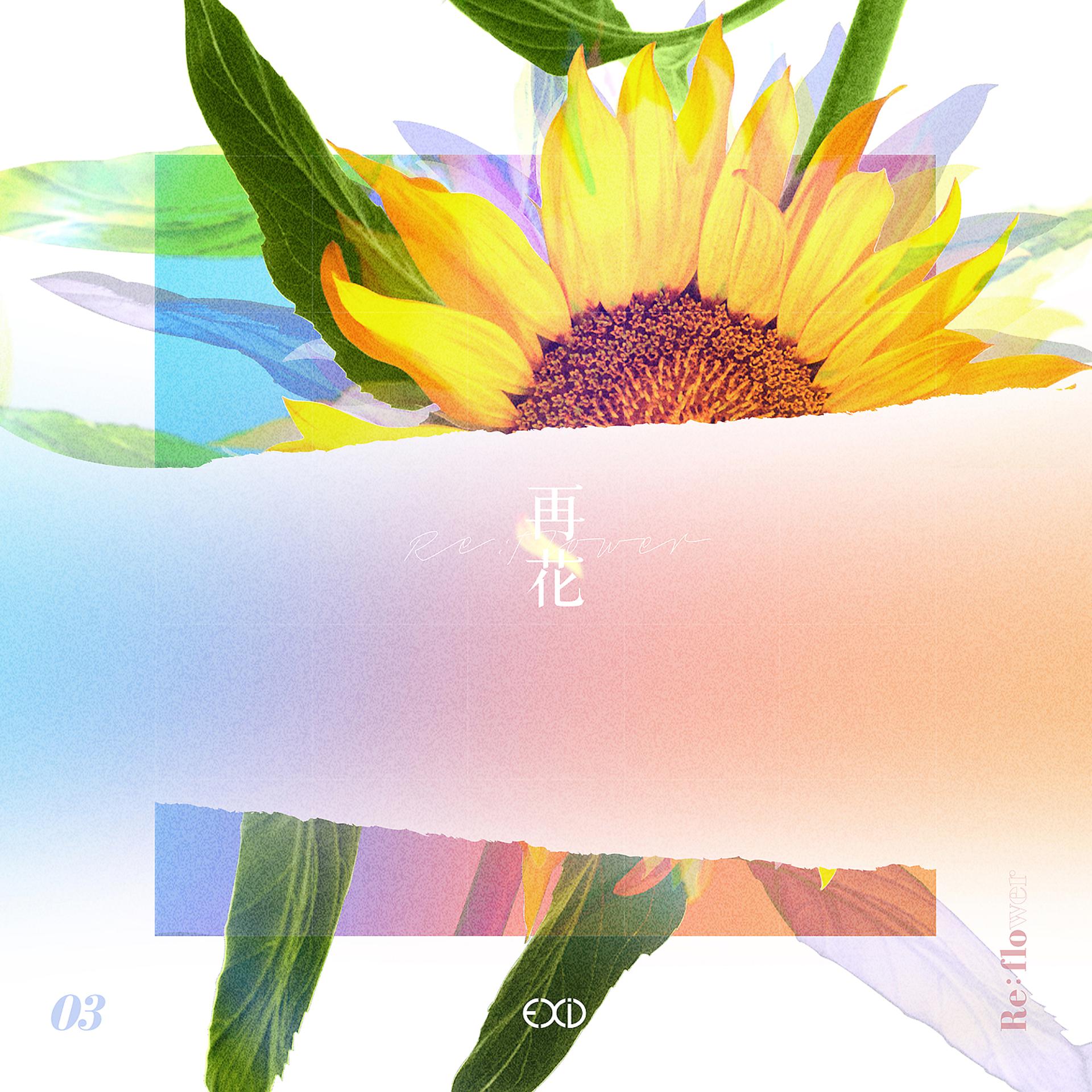 Постер альбома [Re:flower] PROJECT #3