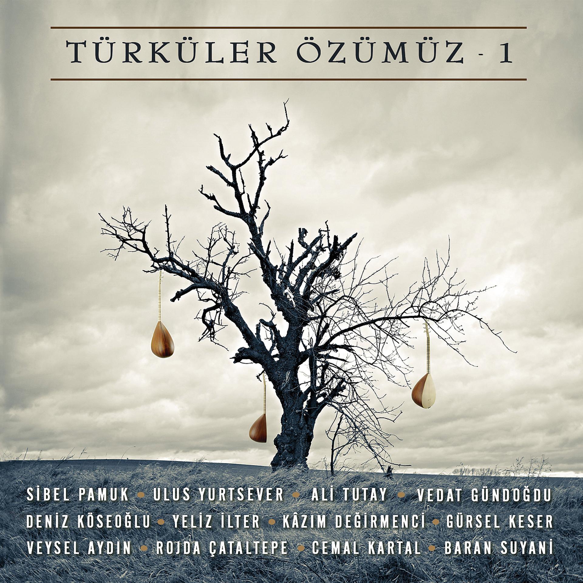 Постер альбома Türküler Özümüz, Vol. 1