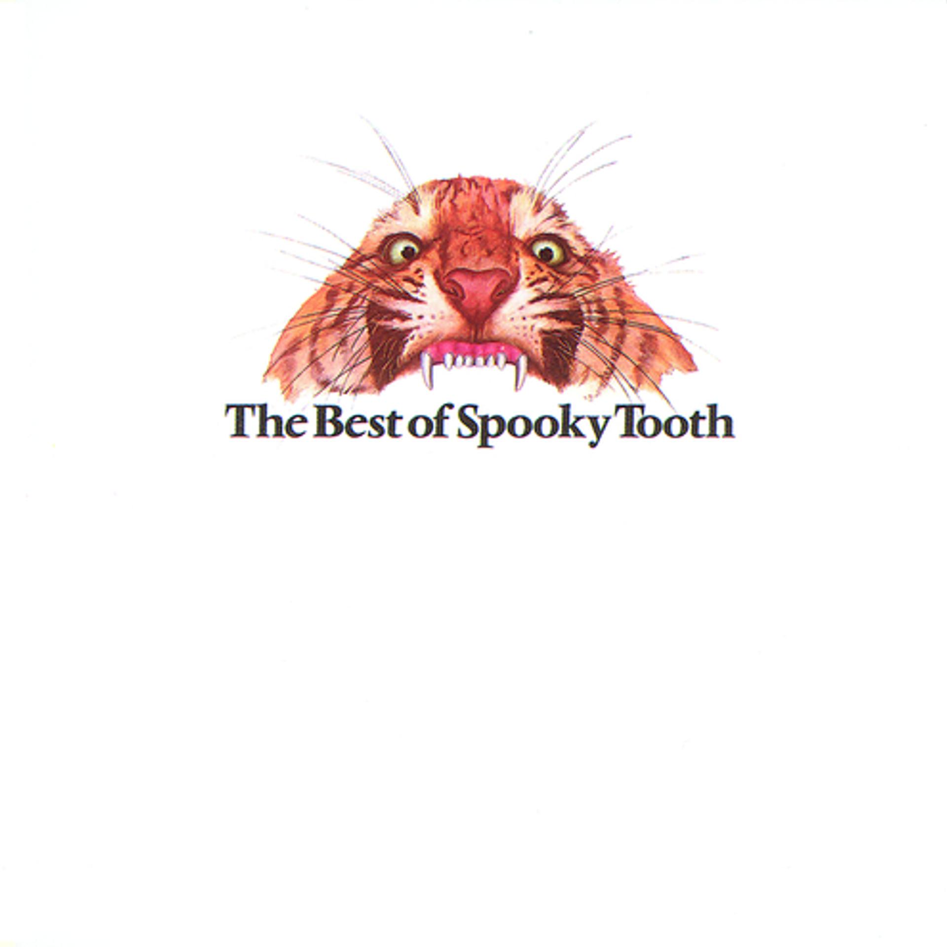 Постер альбома The Best Of Spooky Tooth