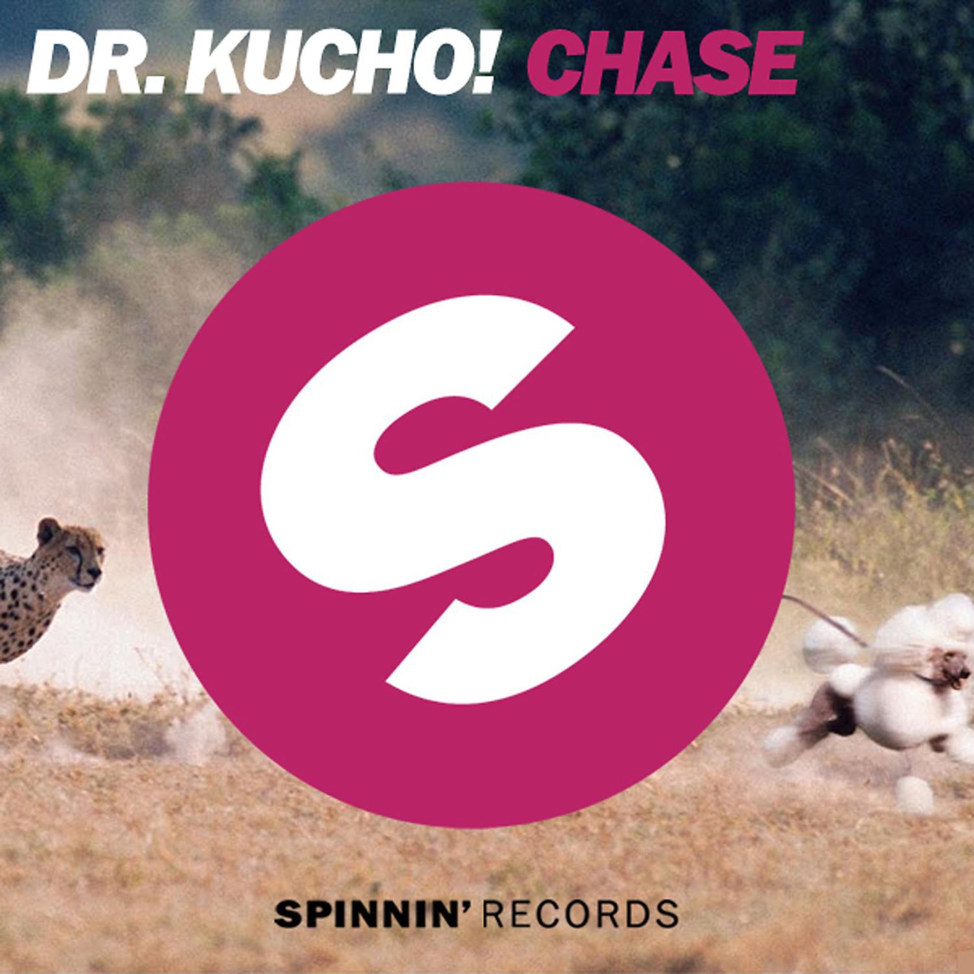 Постер альбома Chase (Remixes)