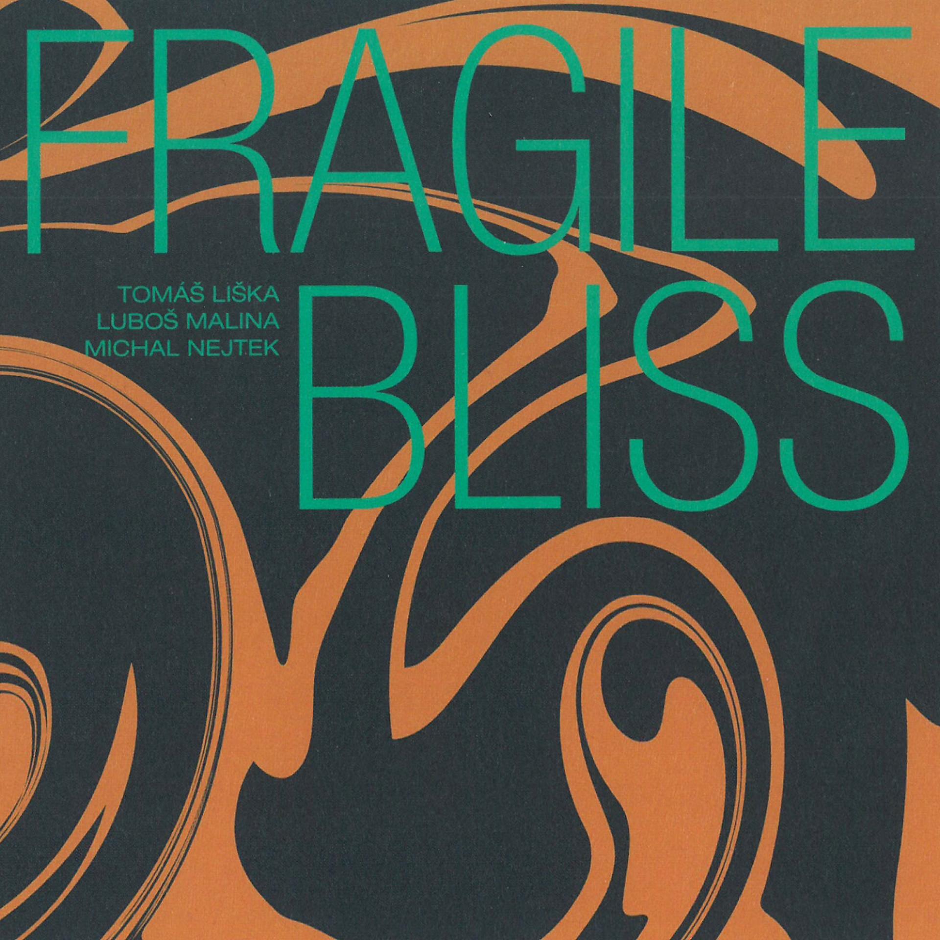 Постер альбома Fragile Bliss