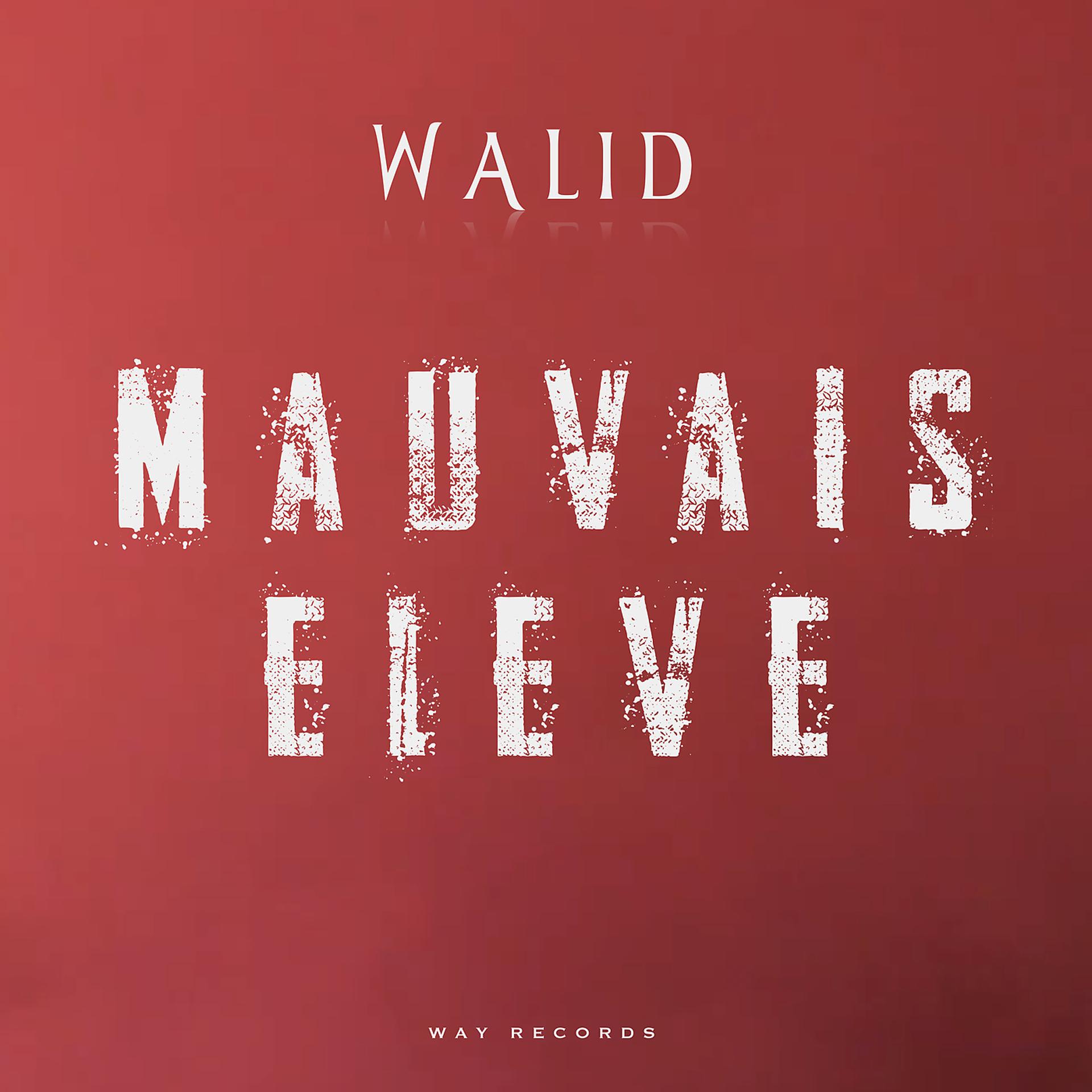 Постер альбома Mauvais élève