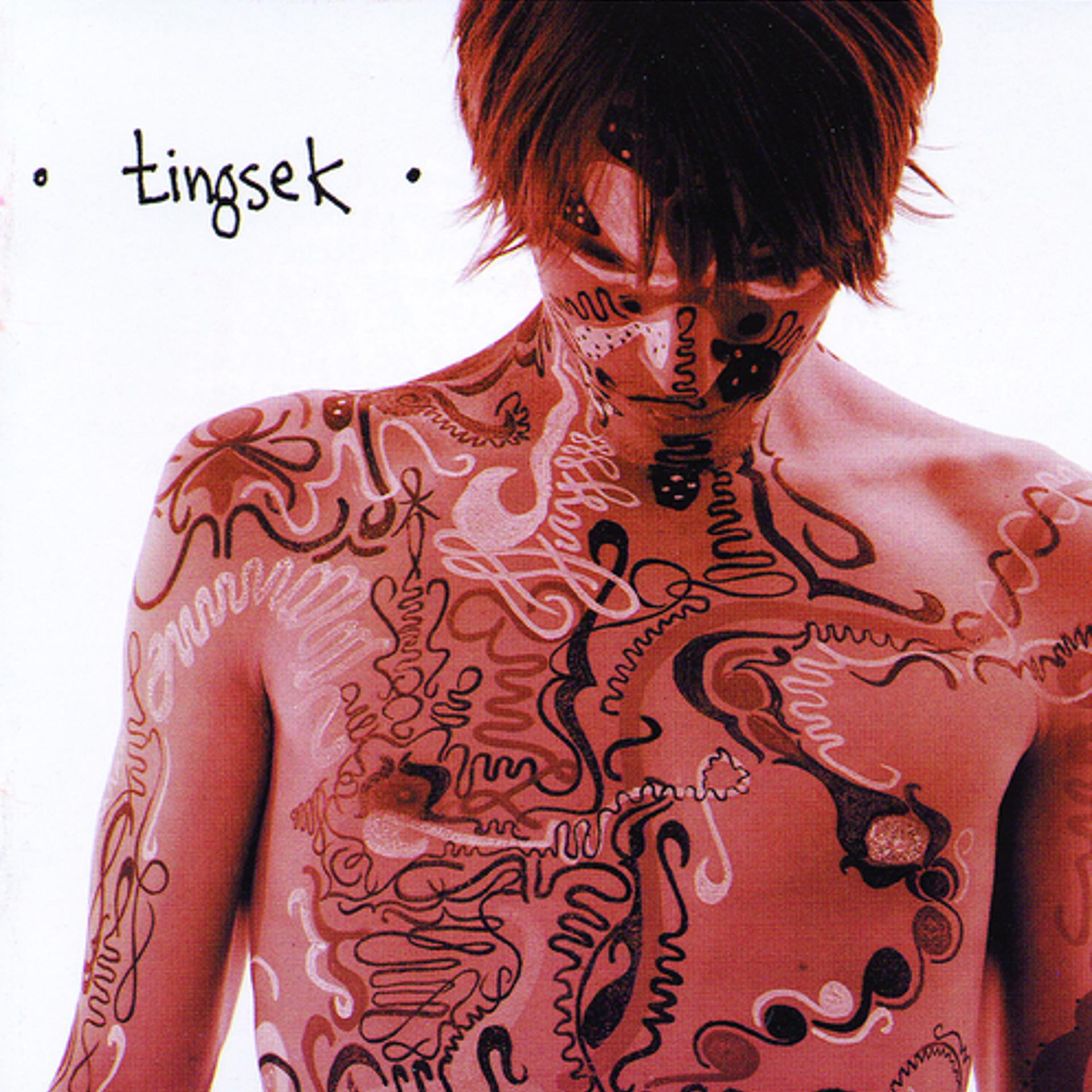 Постер альбома Tingsek