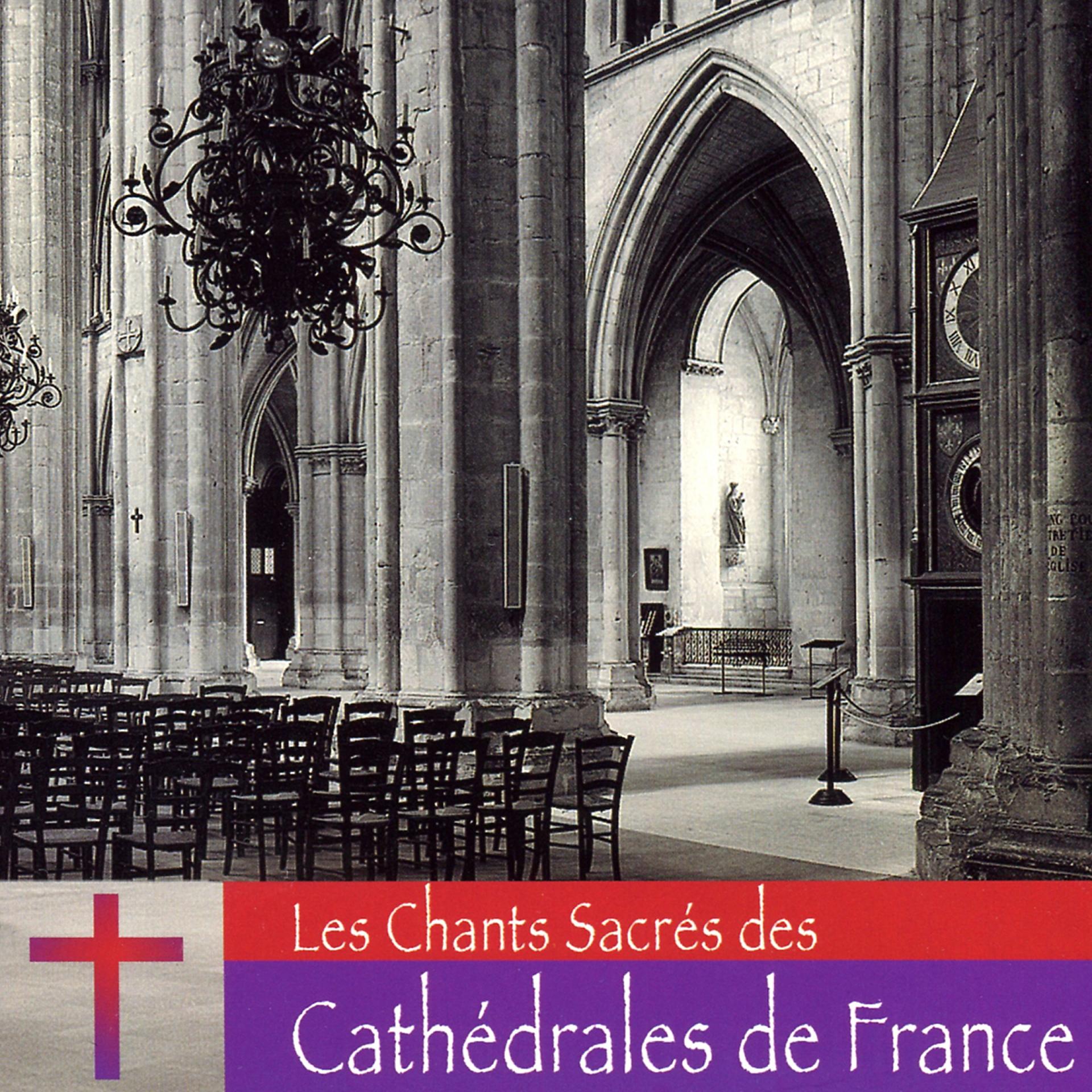 Постер альбома Les chants sacrés des cathédrales de France