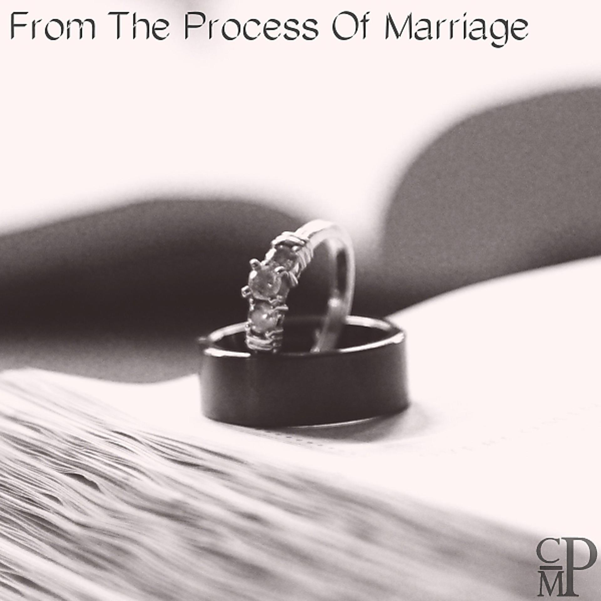 Постер альбома From the Process of Marriage
