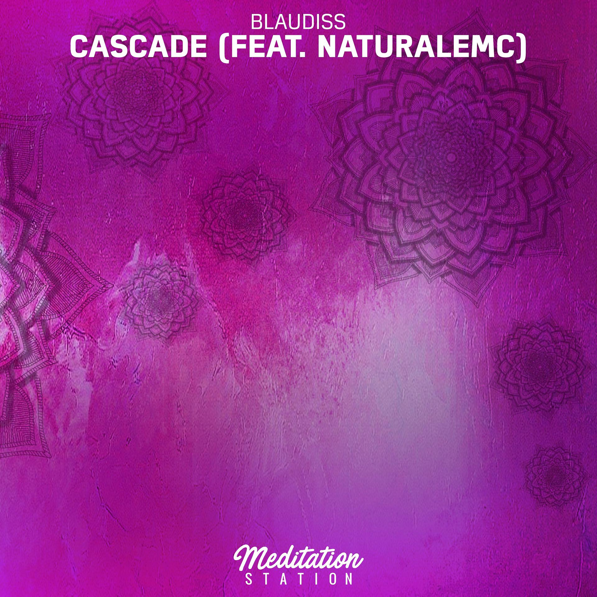 Постер альбома Cascade (feat. Naturalemc)