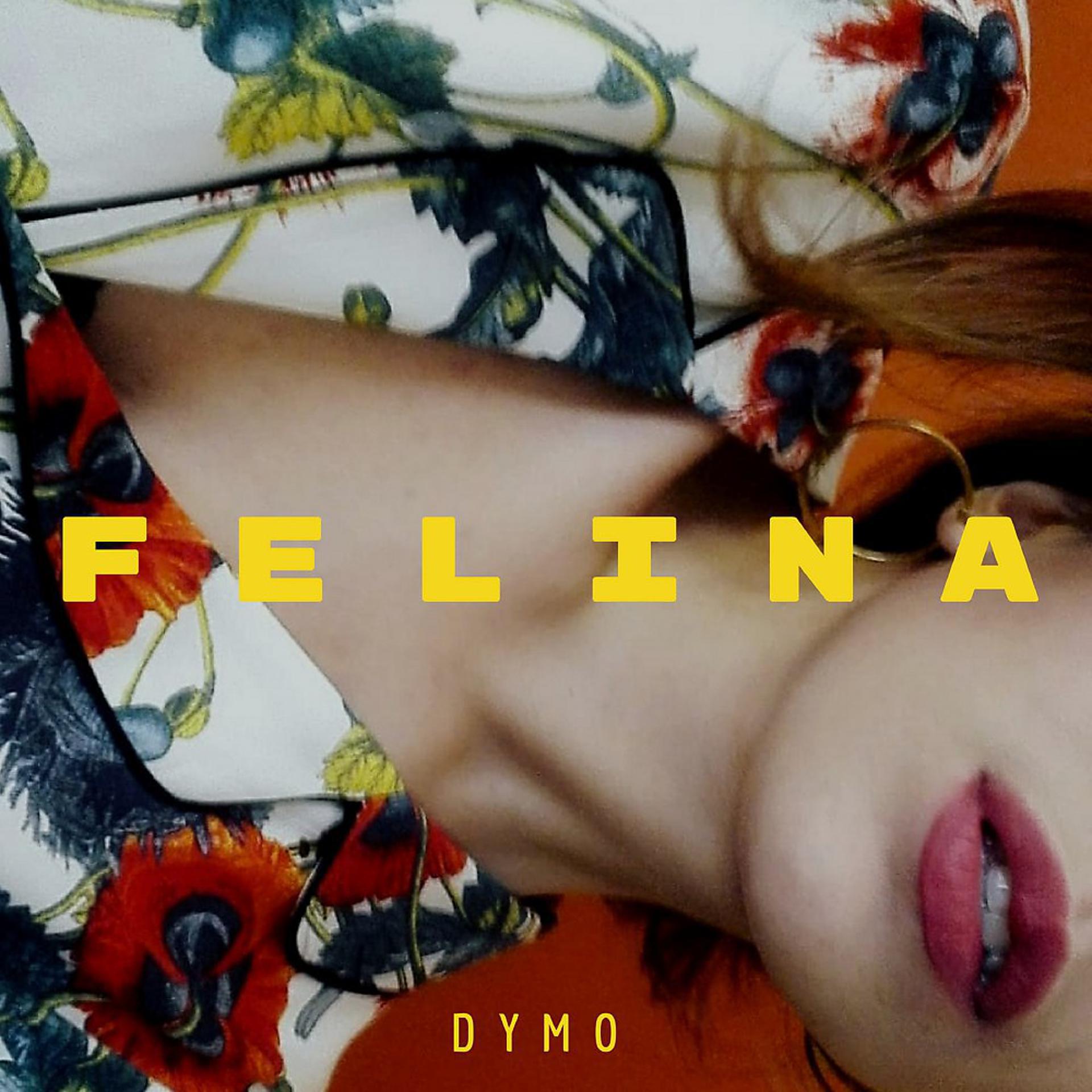 Постер альбома Felina