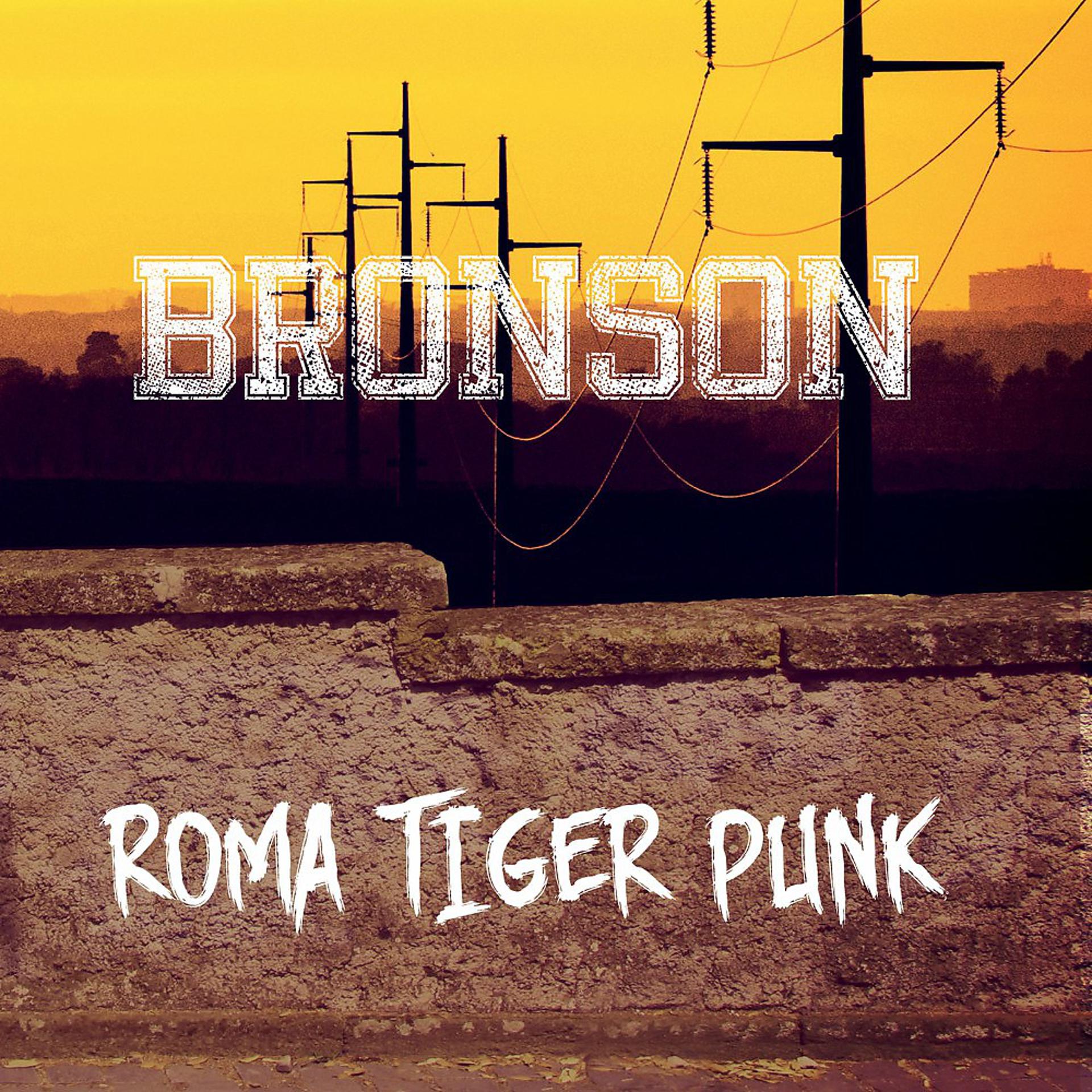 Постер альбома Roma Tiger Punk