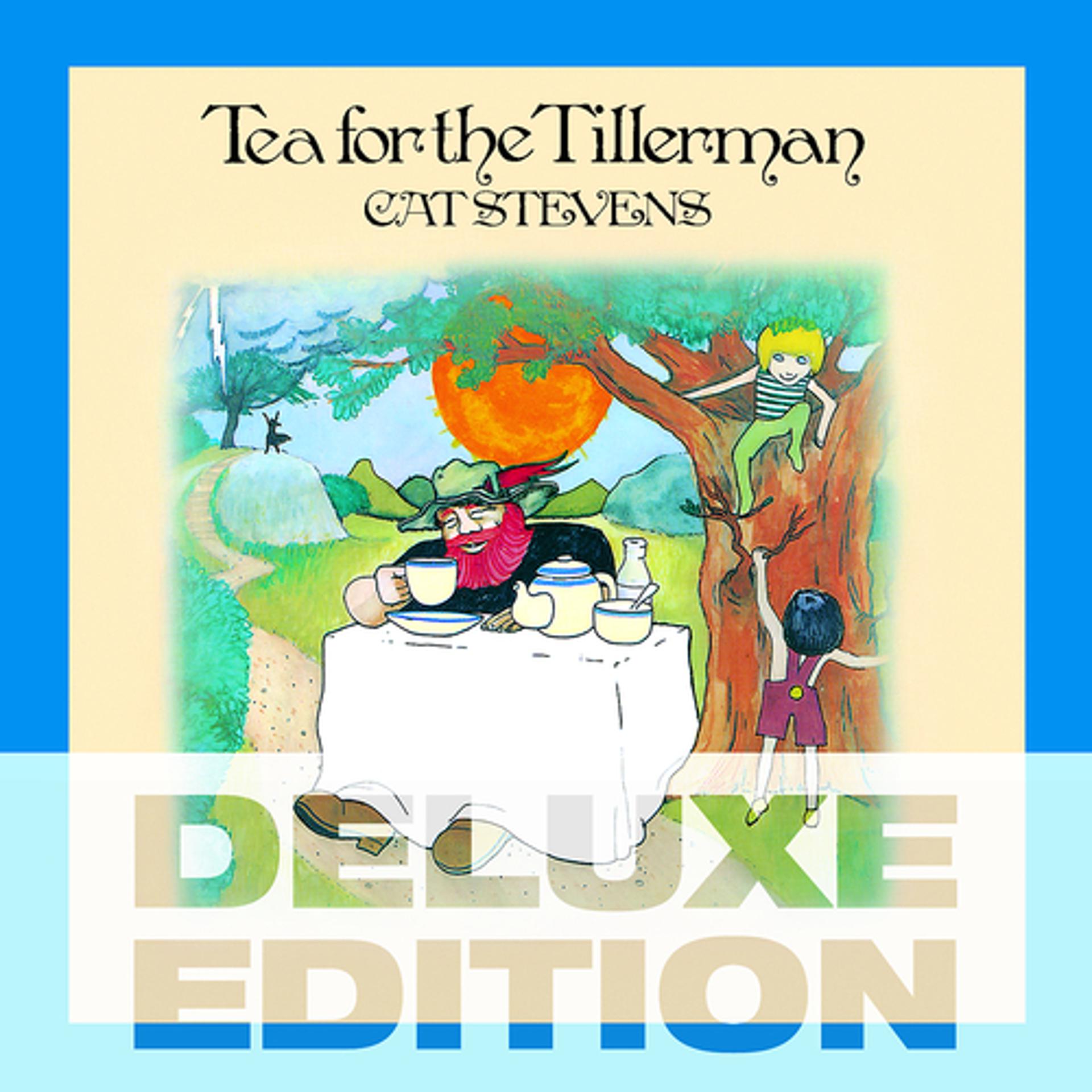 Постер альбома Tea for the Tillerman
