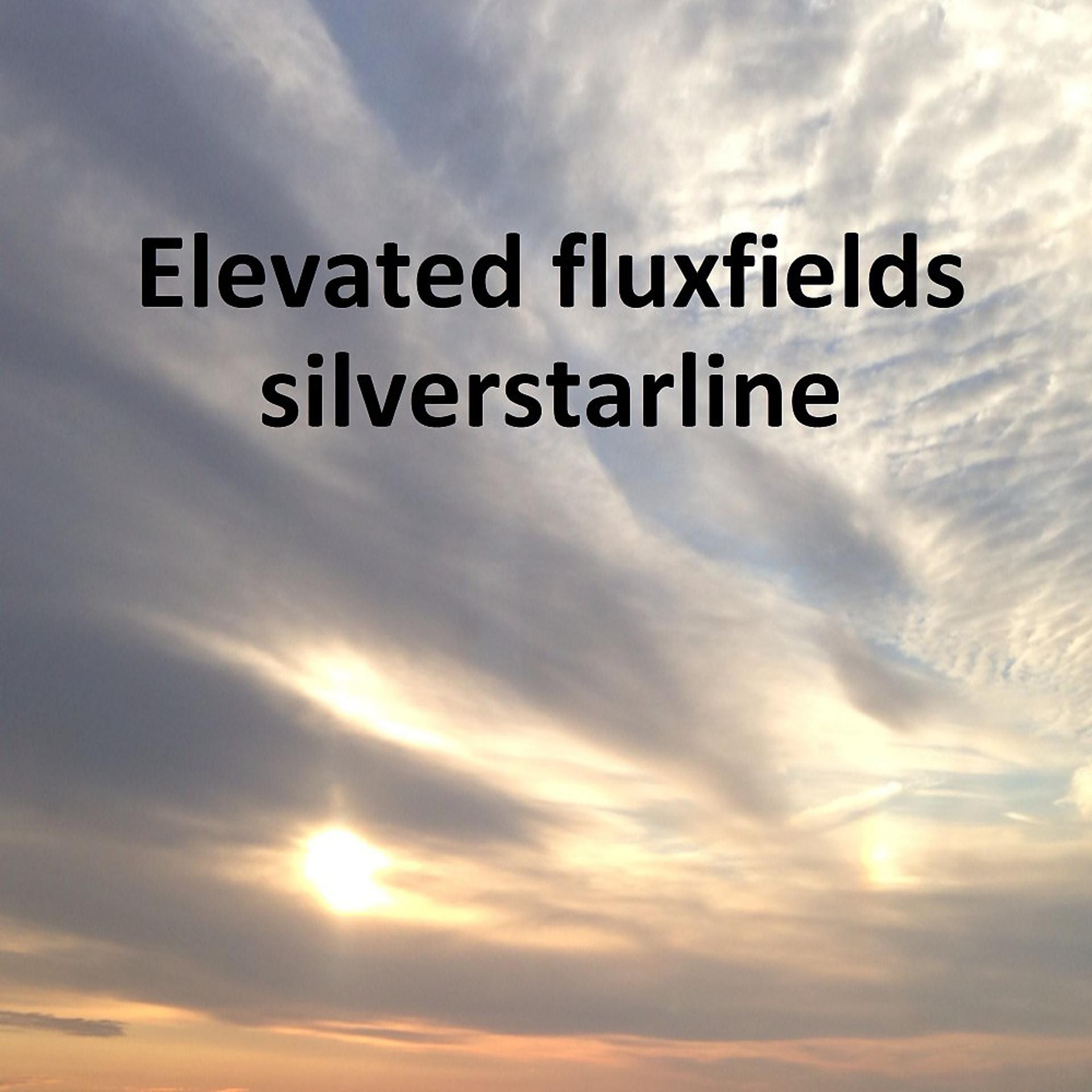 Постер альбома Silverstarline