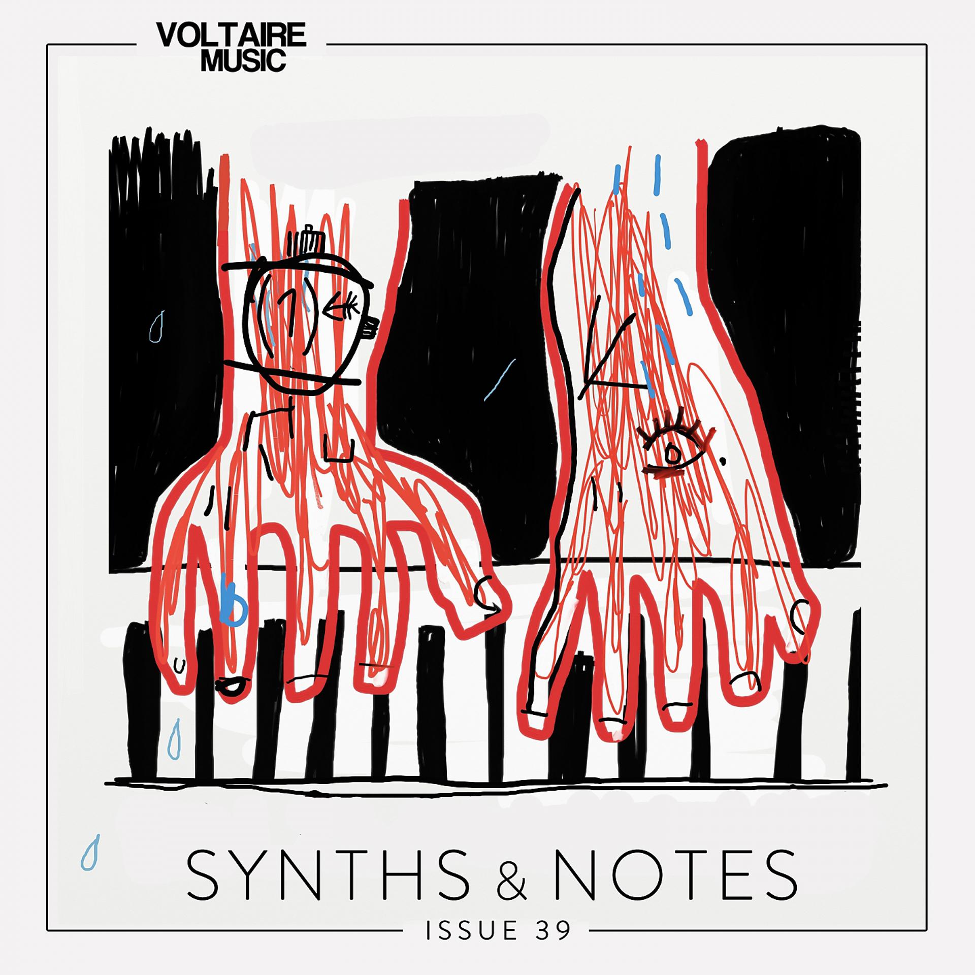 Постер альбома Synths and Notes 39