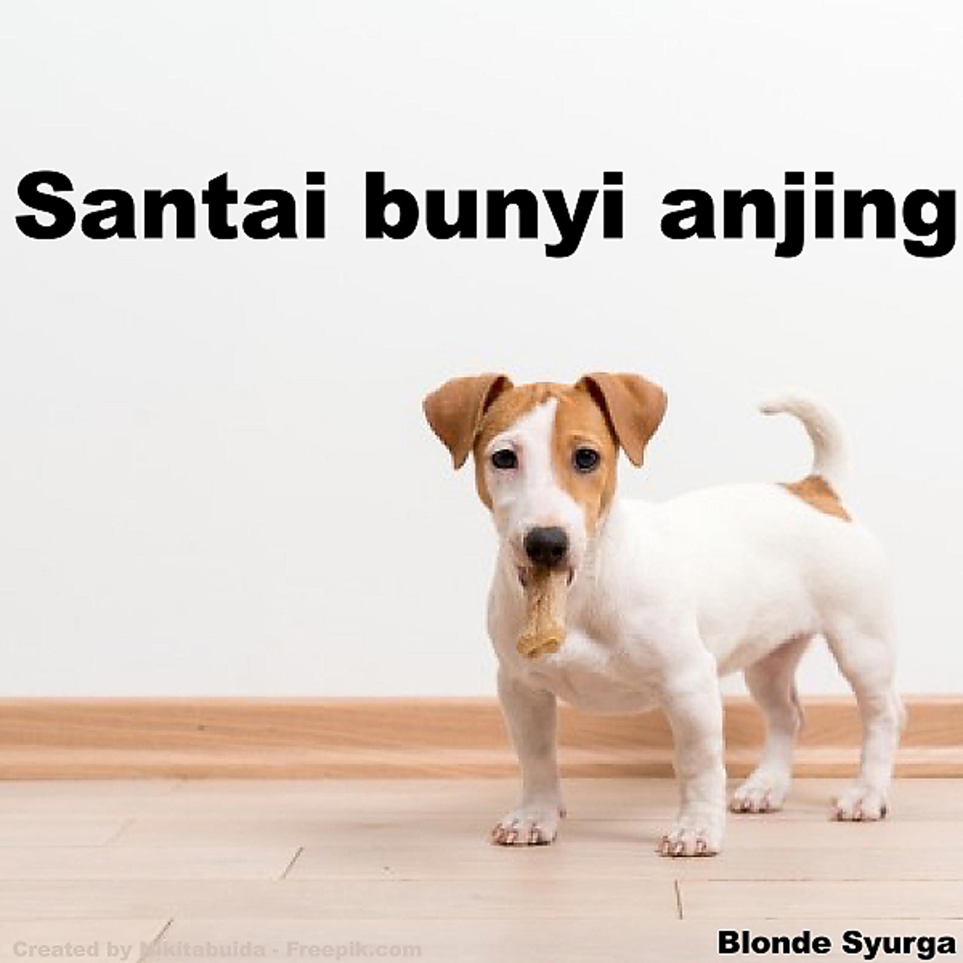 Постер альбома Santai bunyi anjing