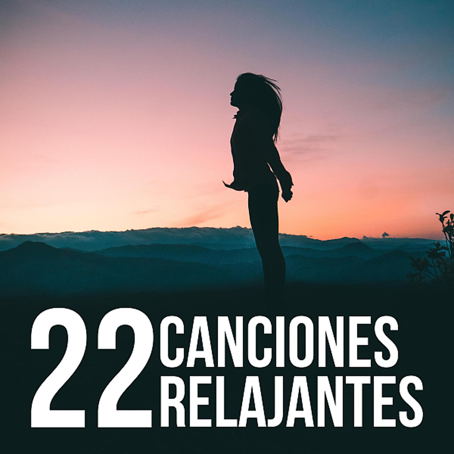 Постер альбома 22 Canciones Relajantes Para Cuando Todo Sale Mal