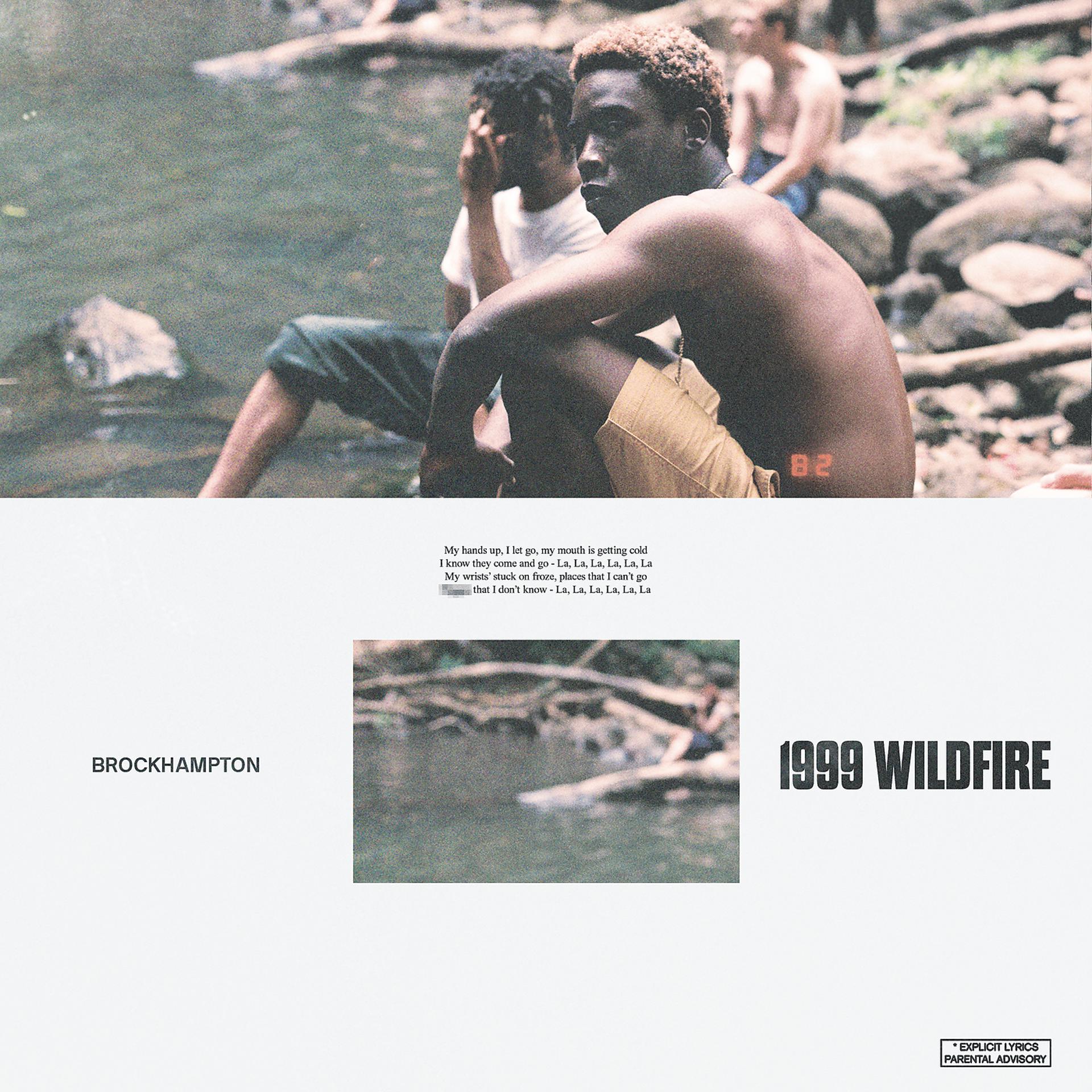 Постер альбома 1999 WILDFIRE