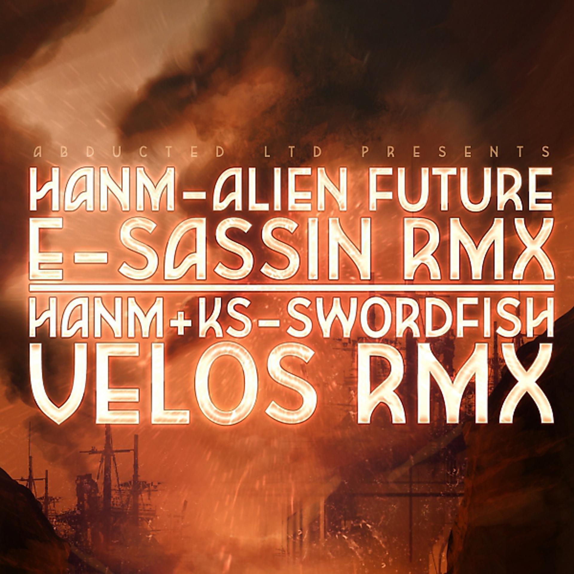 Постер альбома Alien Future RMX / Swordfish RMX