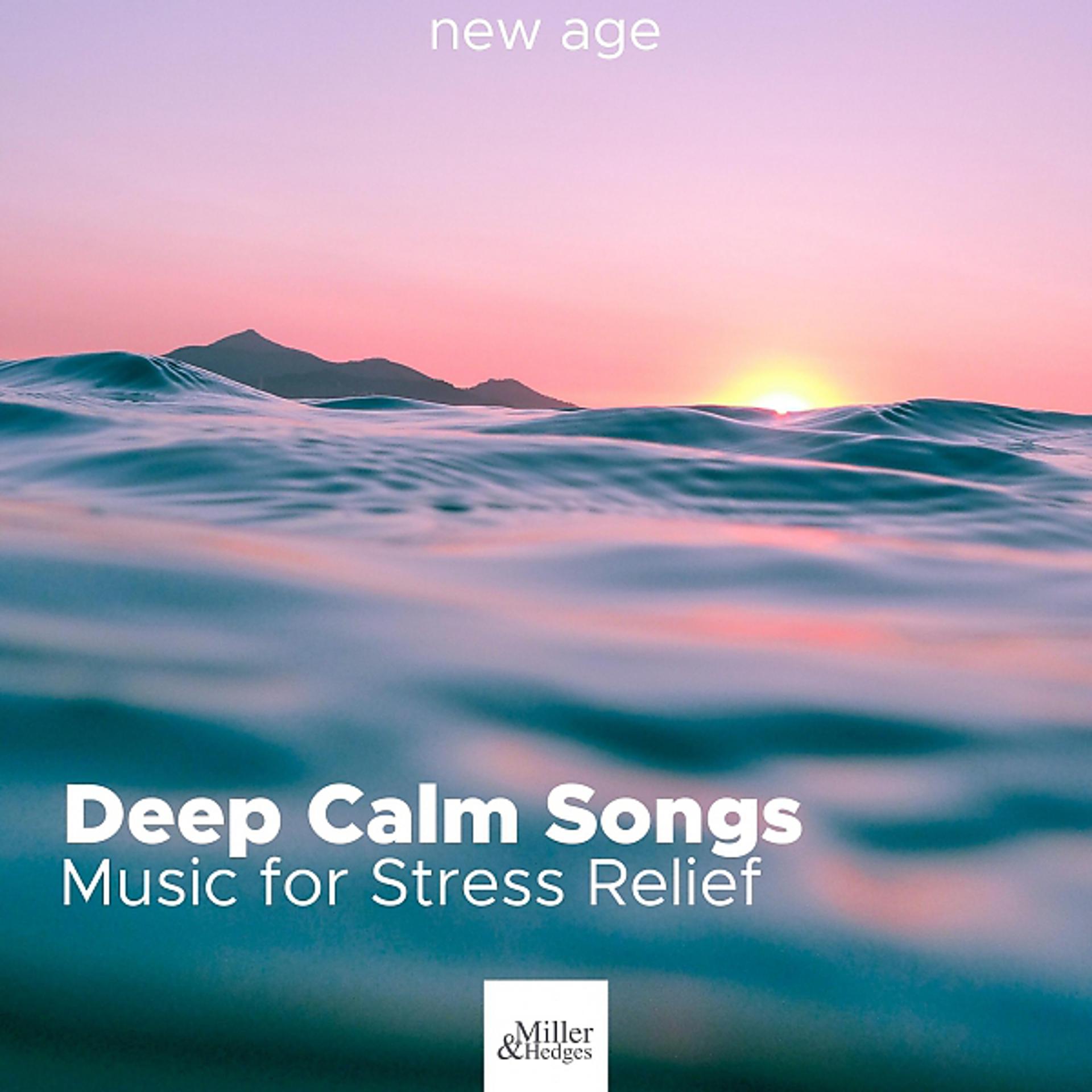 Постер альбома Deep Calm Songs - Music for Stress Relief, Tracks for Sleep & Study