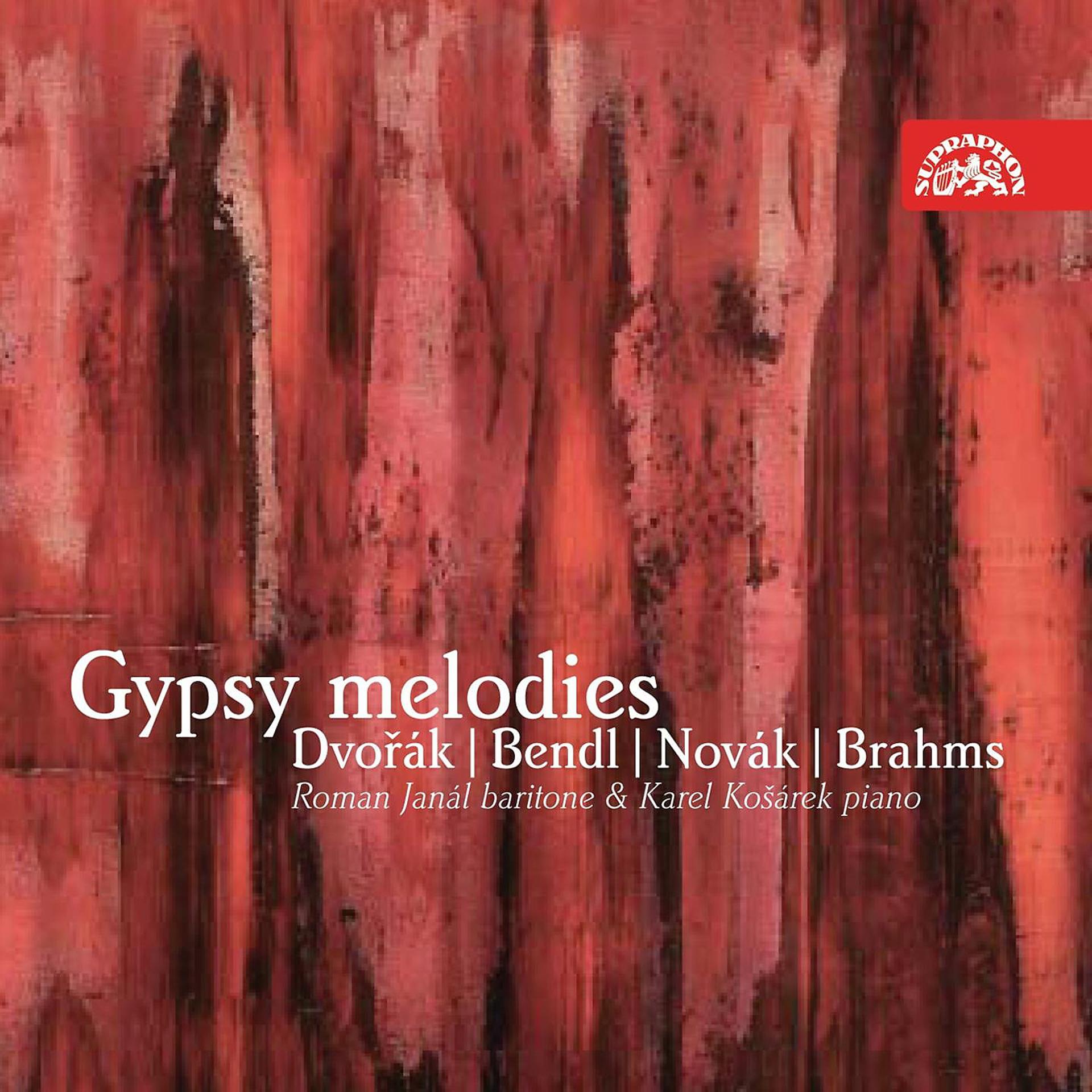 Постер альбома Bendl, Novák, Dvořák and Brahms: Gypsy Melodies