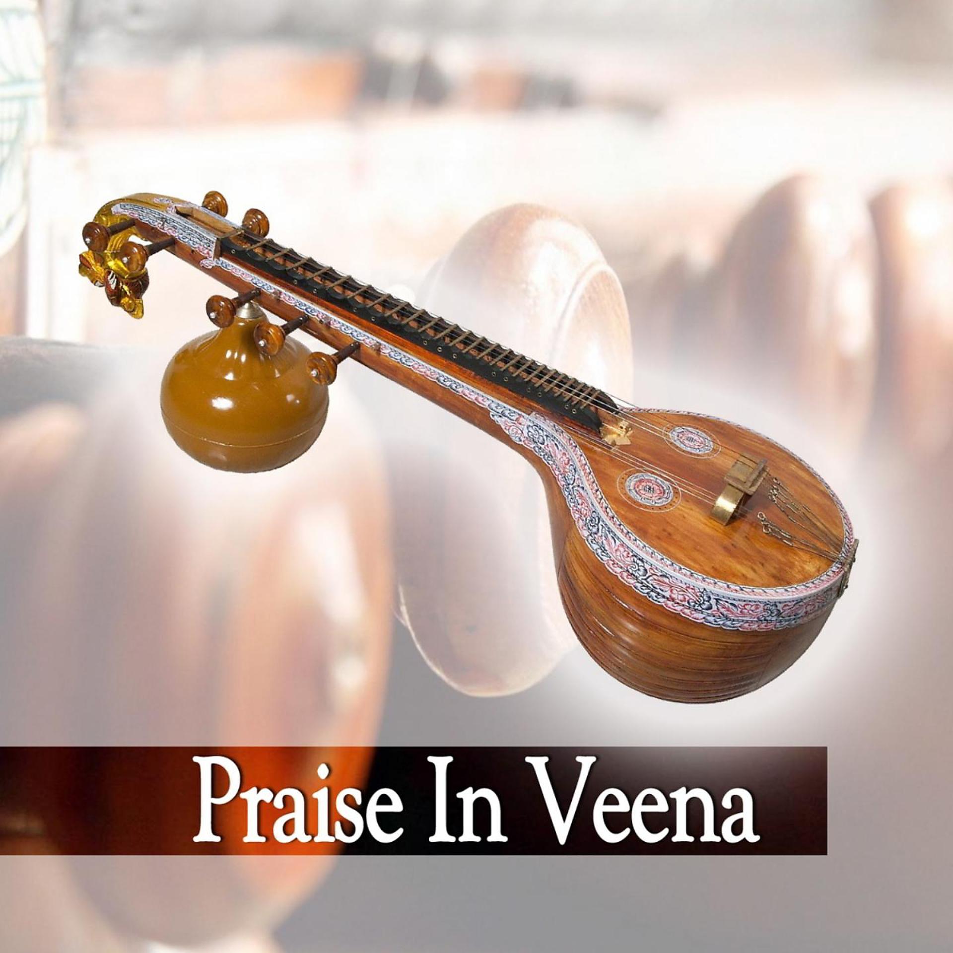 Постер альбома Praise in Veena