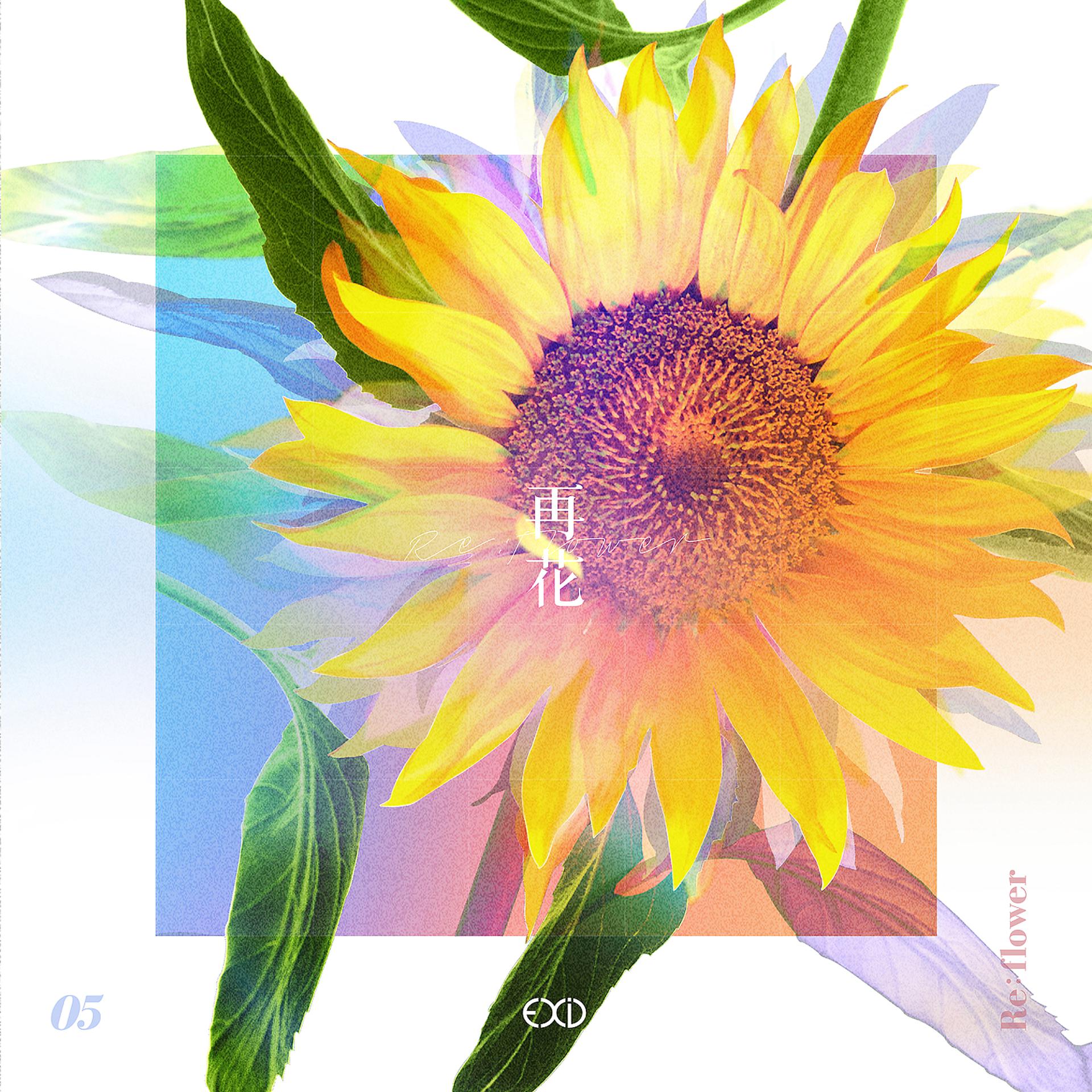 Постер альбома [Re:flower] PROJECT #5