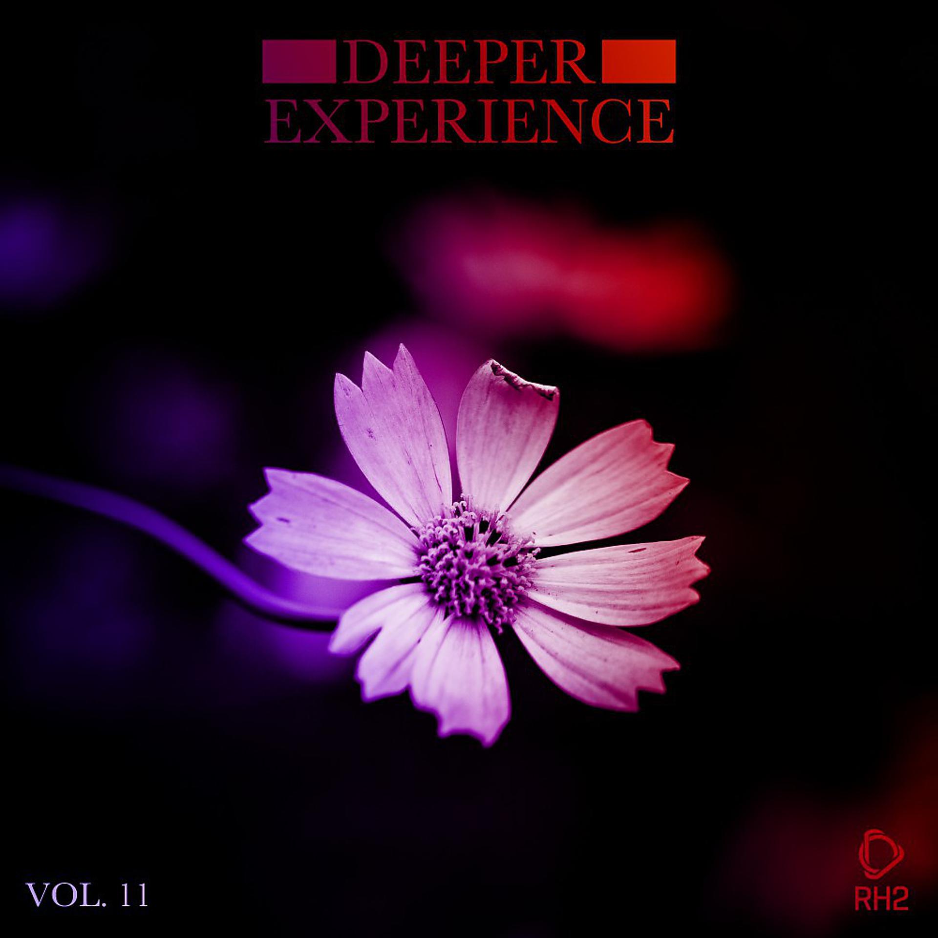 Постер альбома Deeper Experience, Vol. 11