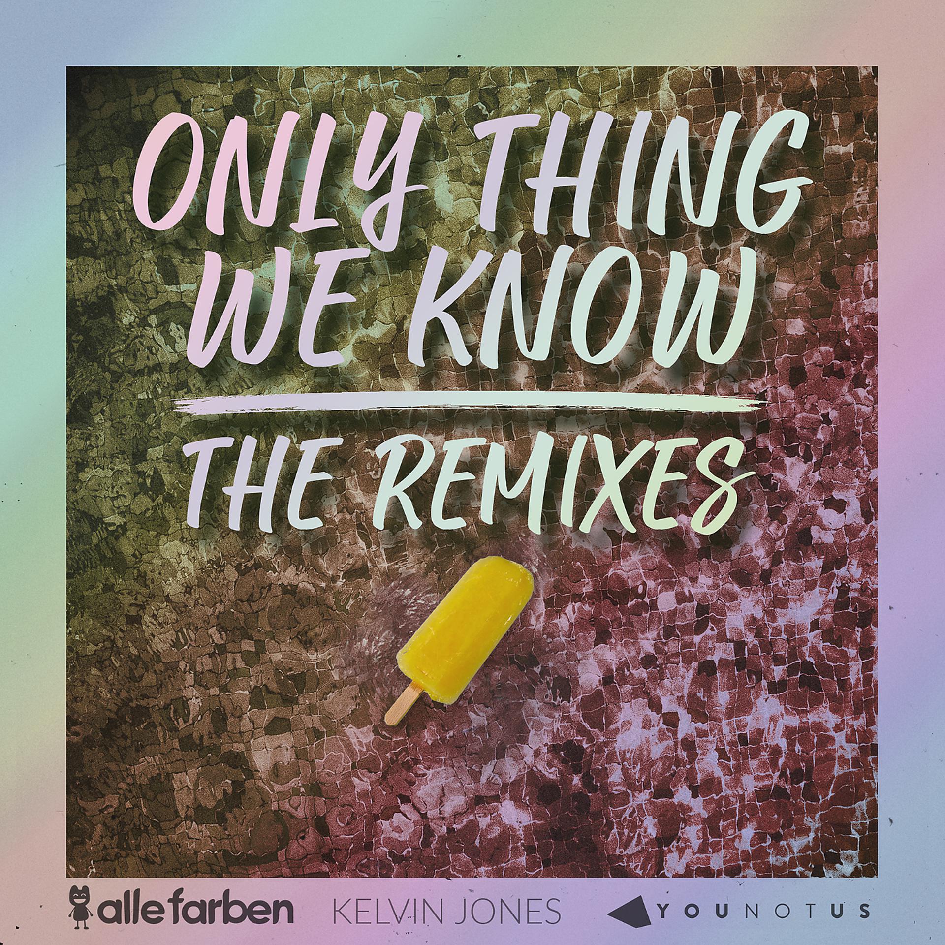 Постер альбома Only Thing We Know - The Remixes