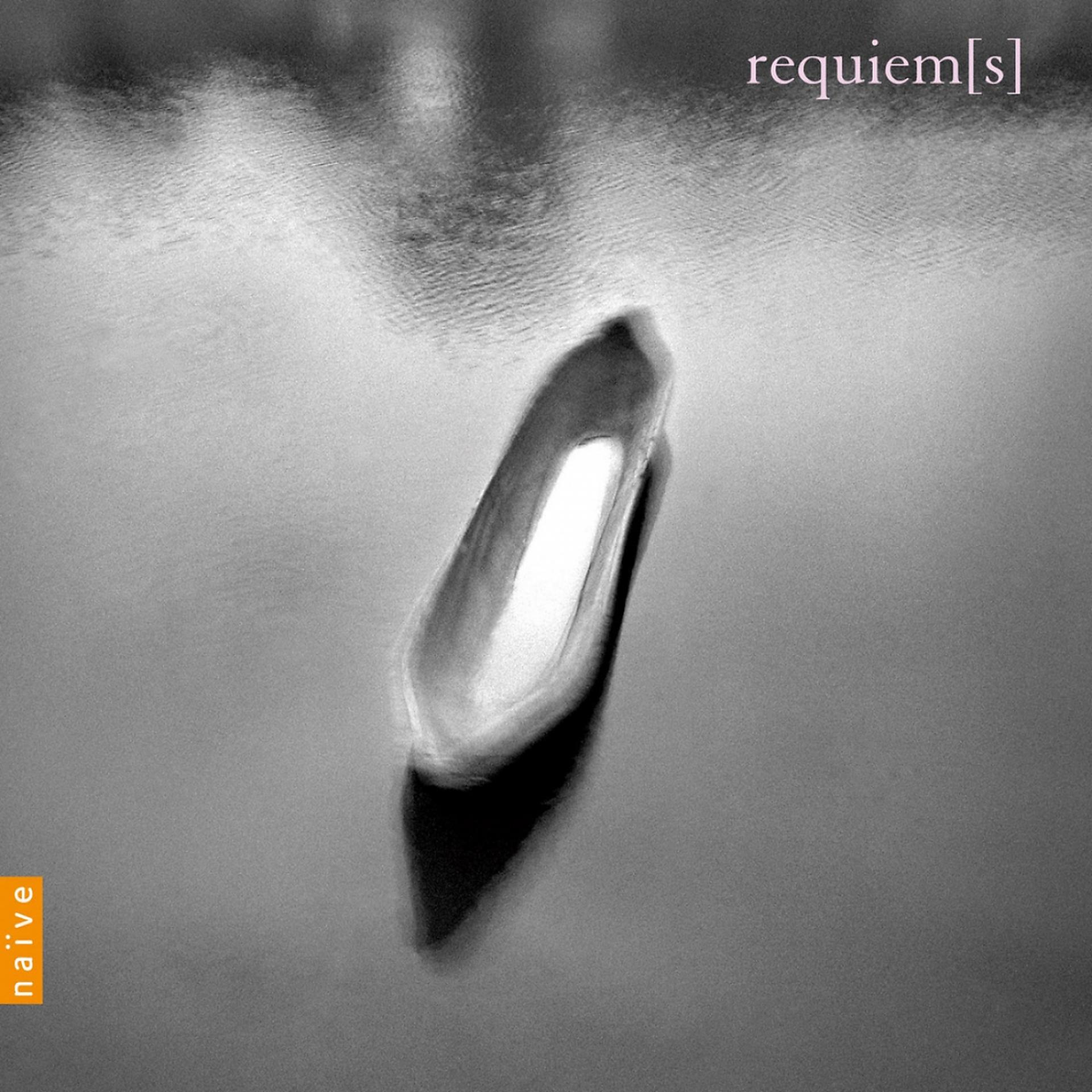 Постер альбома Requiem(s)