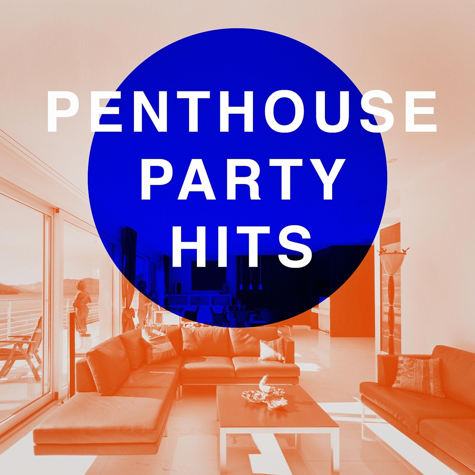 Постер альбома Penthouse Party Hits
