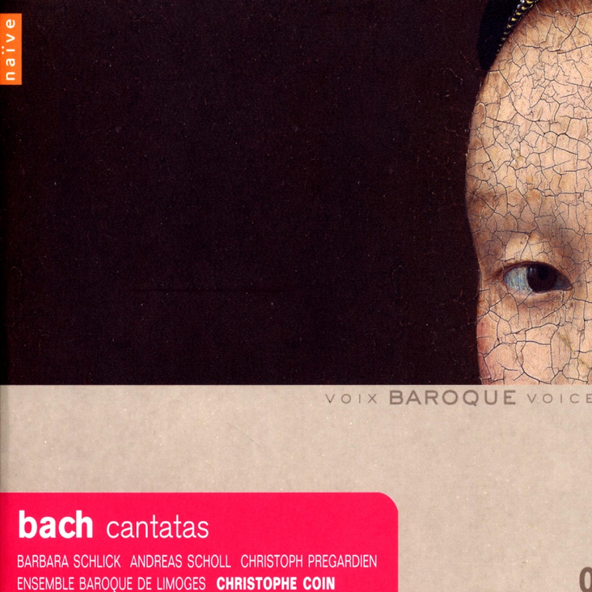 Постер альбома Bach: Cantatas with Violoncello Piccolo (BWV 85, 175, 183, 199)
