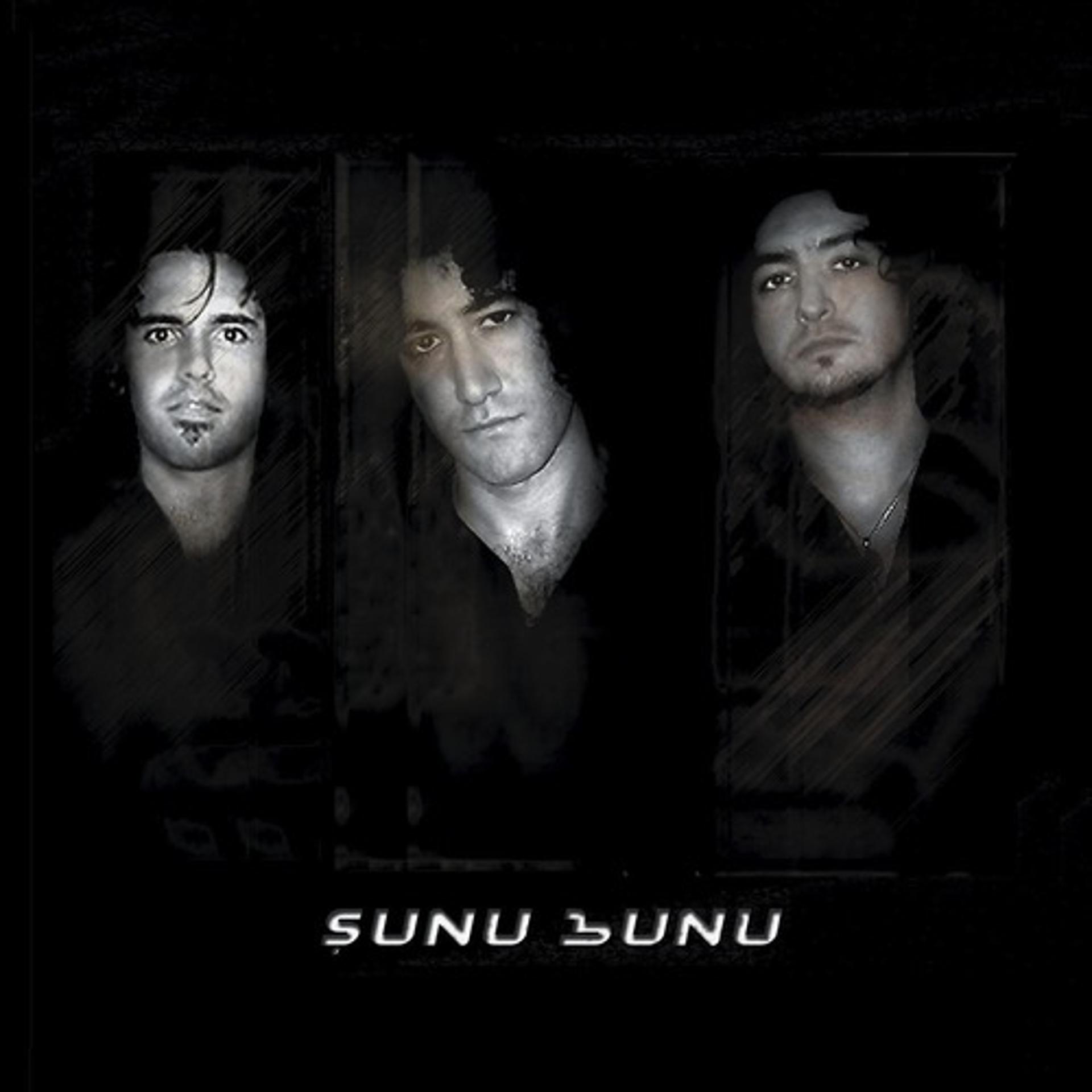 Постер альбома Sunu Bunu