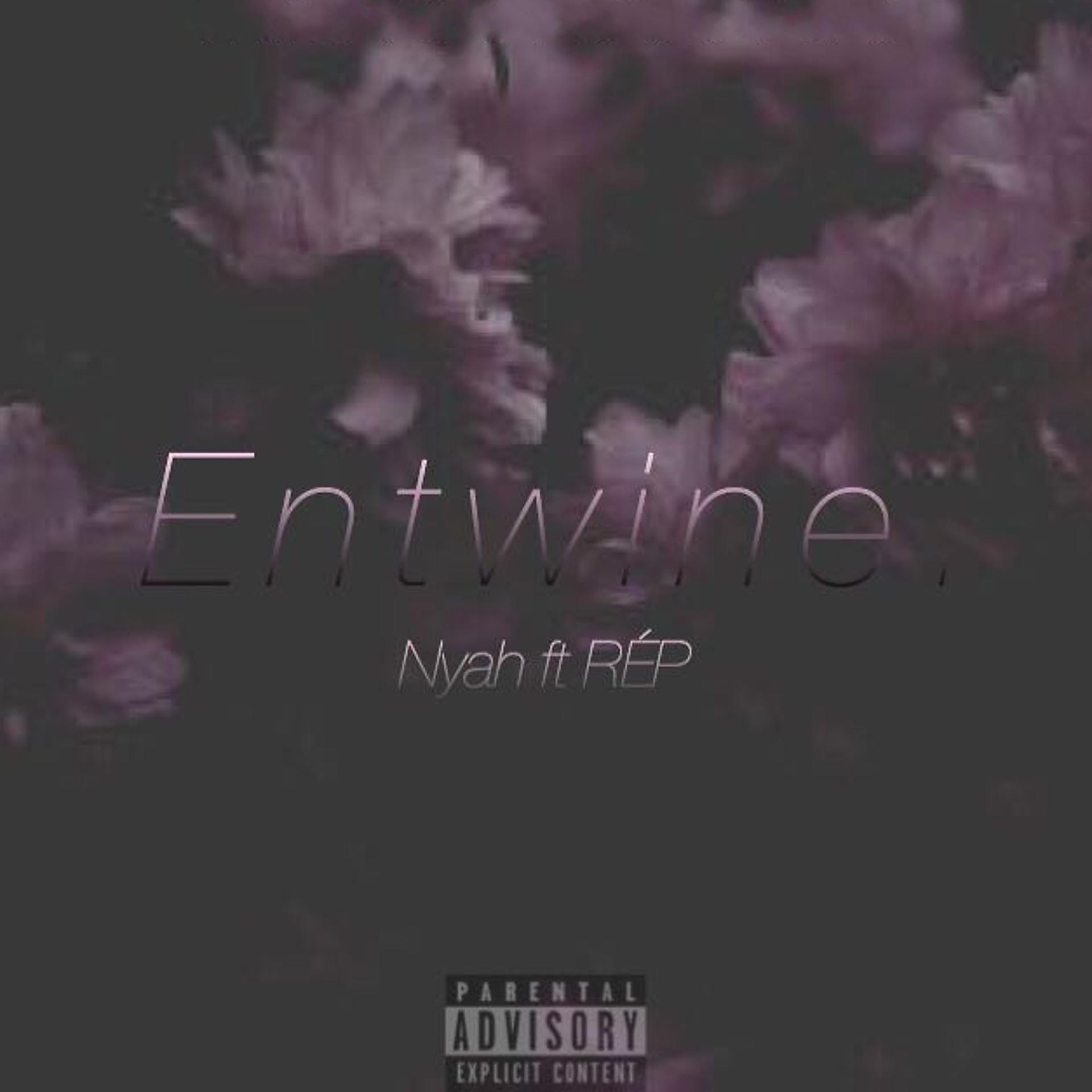 Постер альбома Entwine