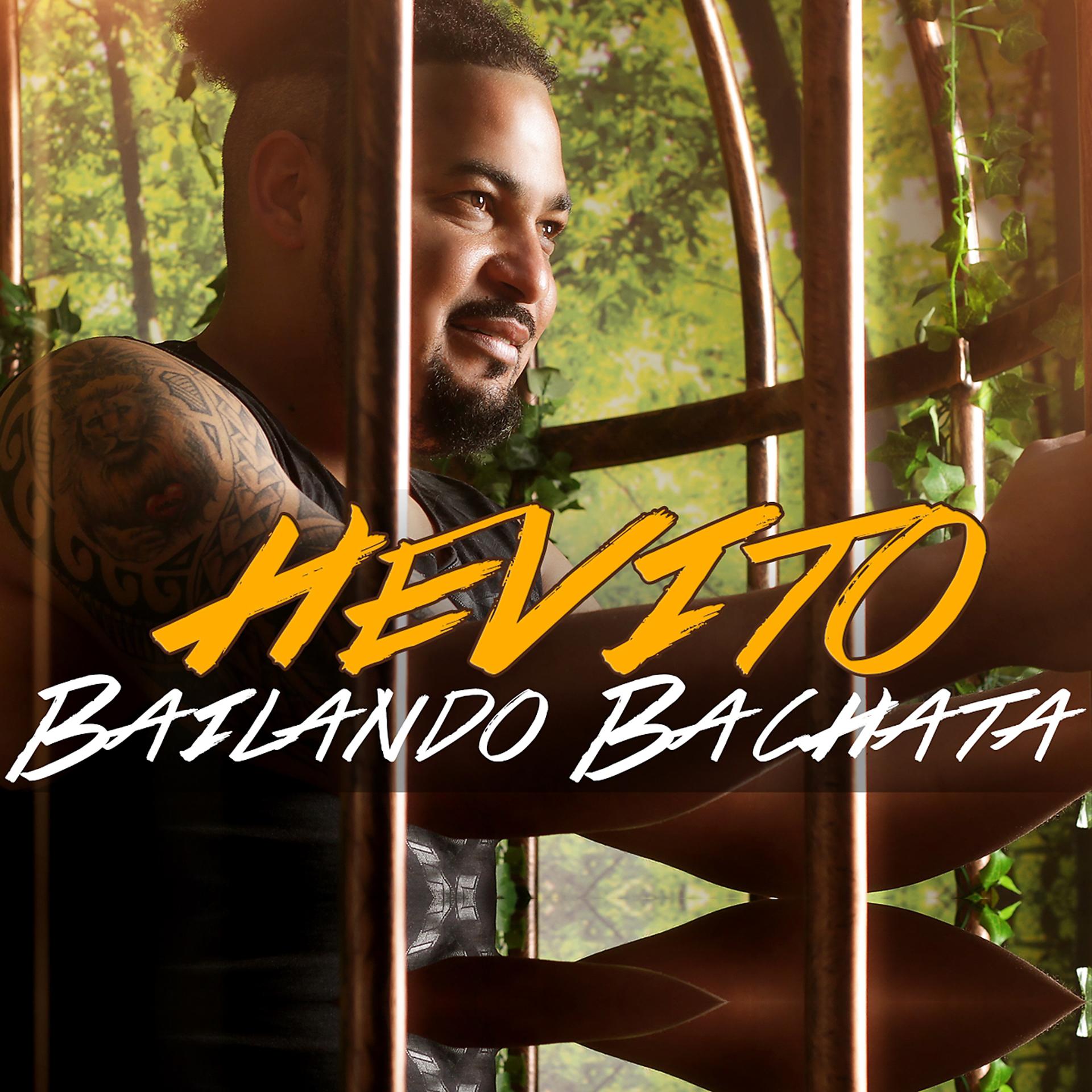 Постер альбома Bailando Bachata