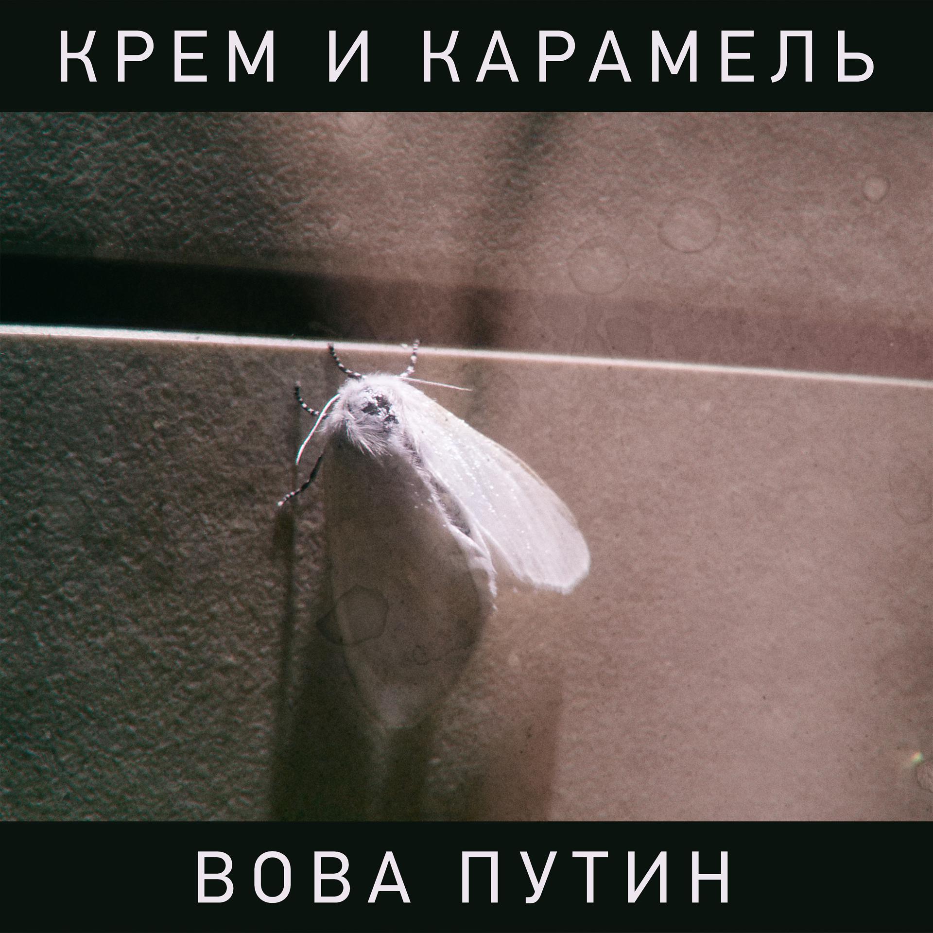 Постер альбома Вова Путин