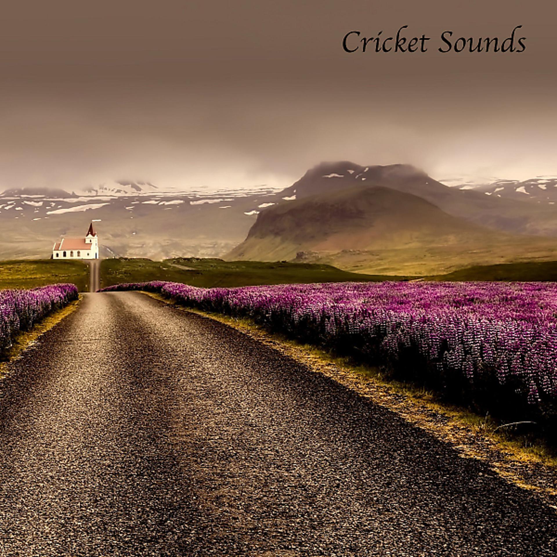 Постер альбома Cricket Sounds