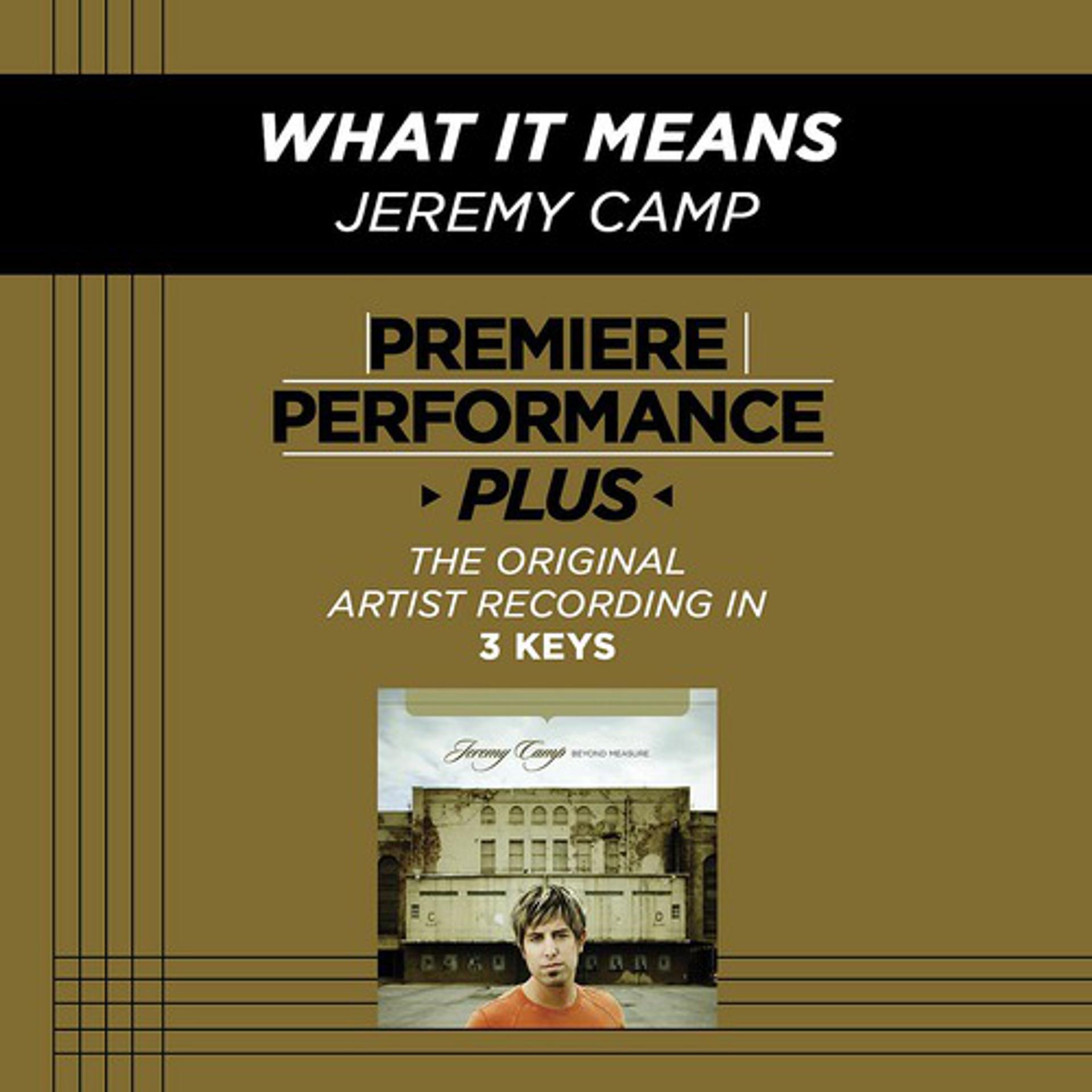 Постер альбома Premiere Performance Plus: What It Means