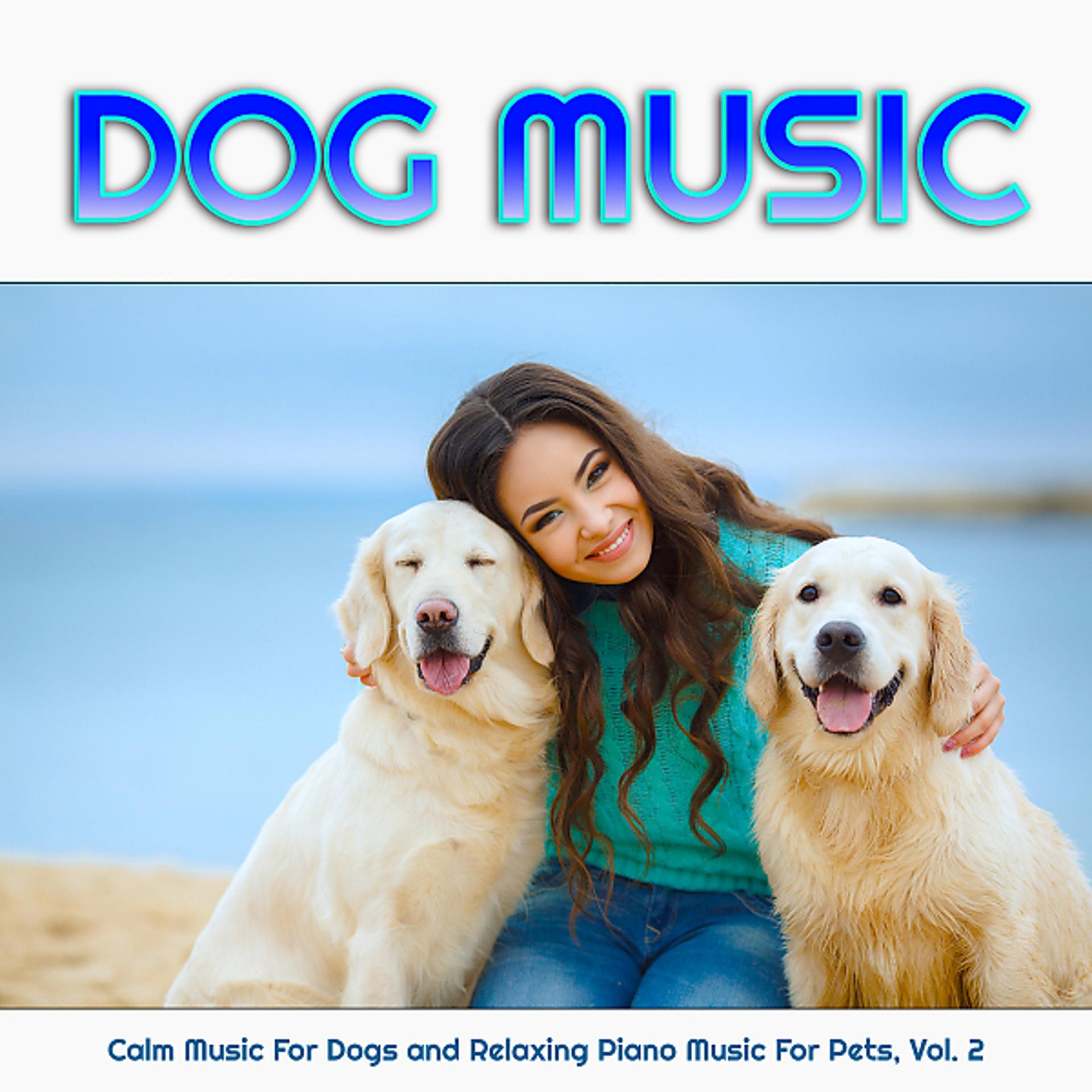 Постер альбома Dog Music: Calm Music For Dogs and Relaxing Piano Music For Pets, Vol. 2