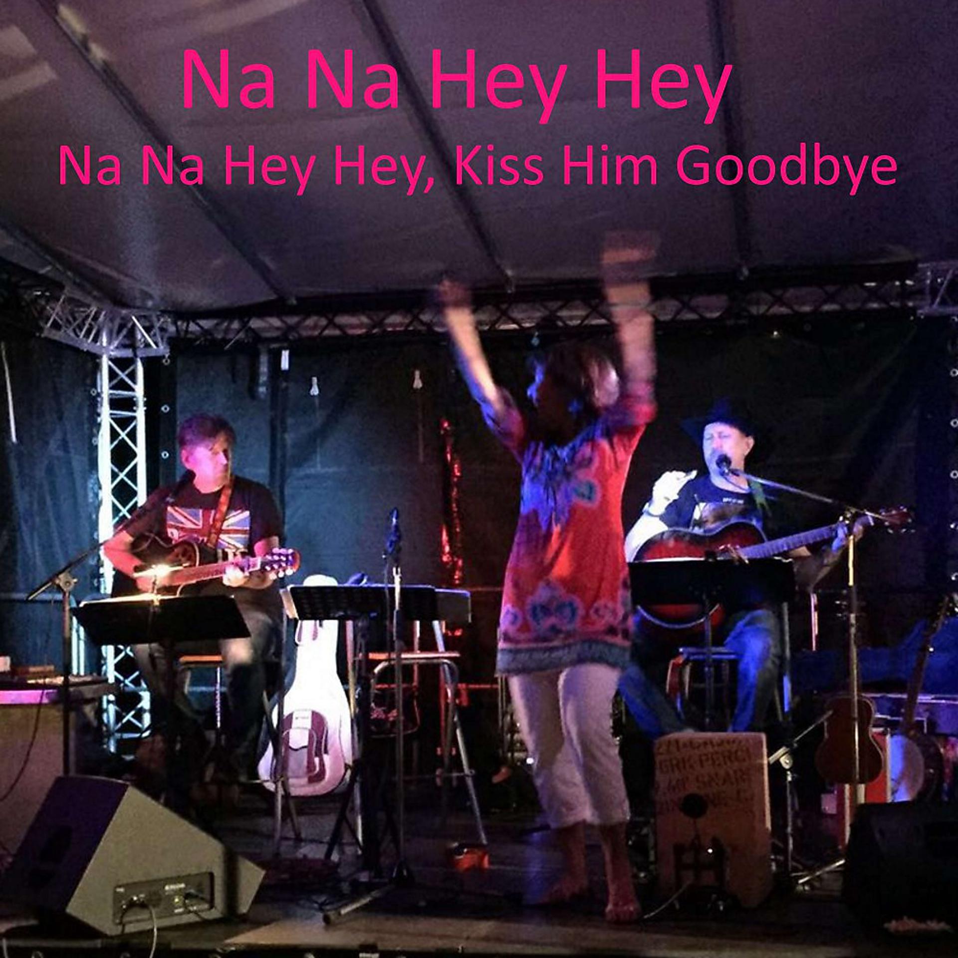 Постер альбома Na Na Hey Hey, Kiss Him Goodbye (2018 Unplugged)