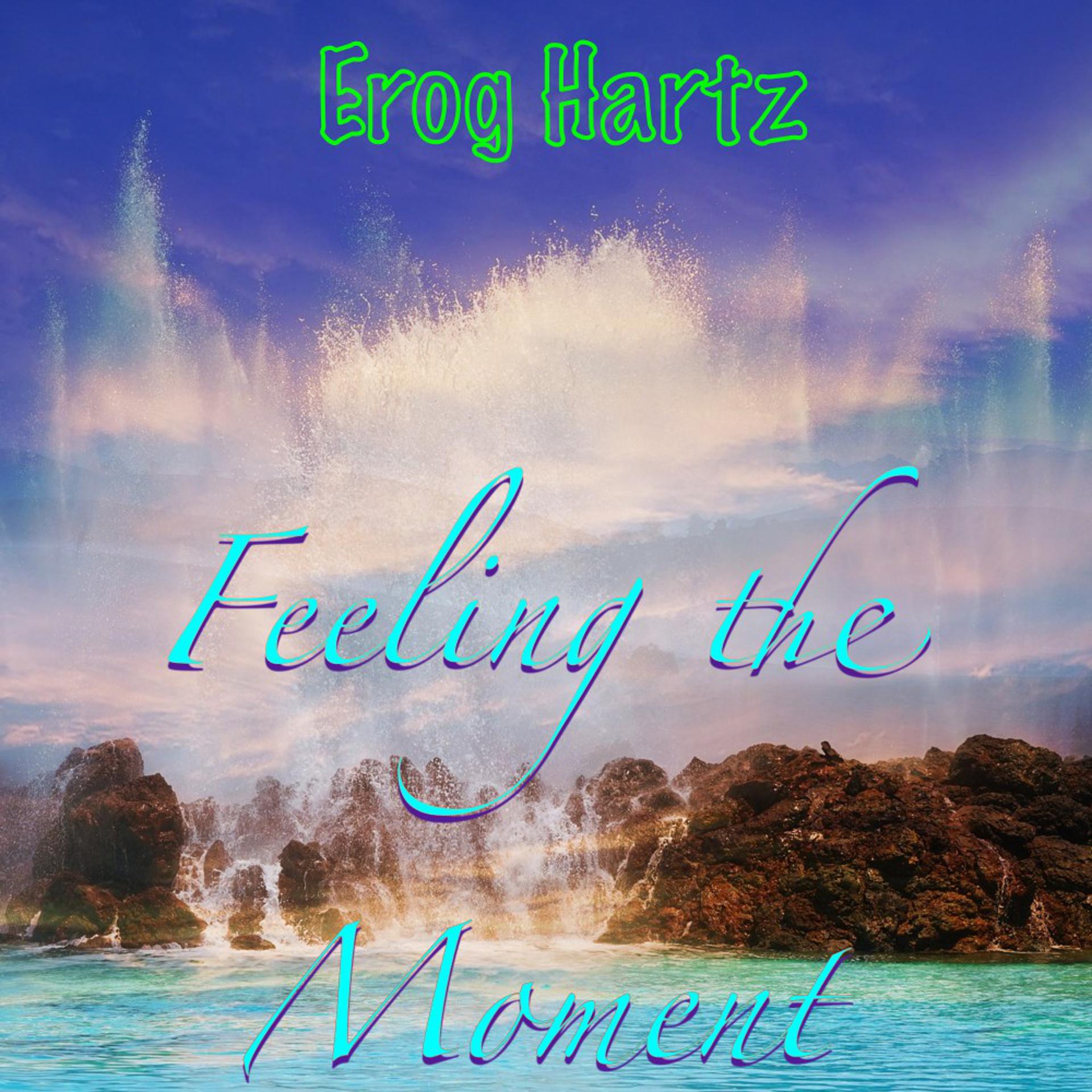 Постер альбома Feeling the Moment