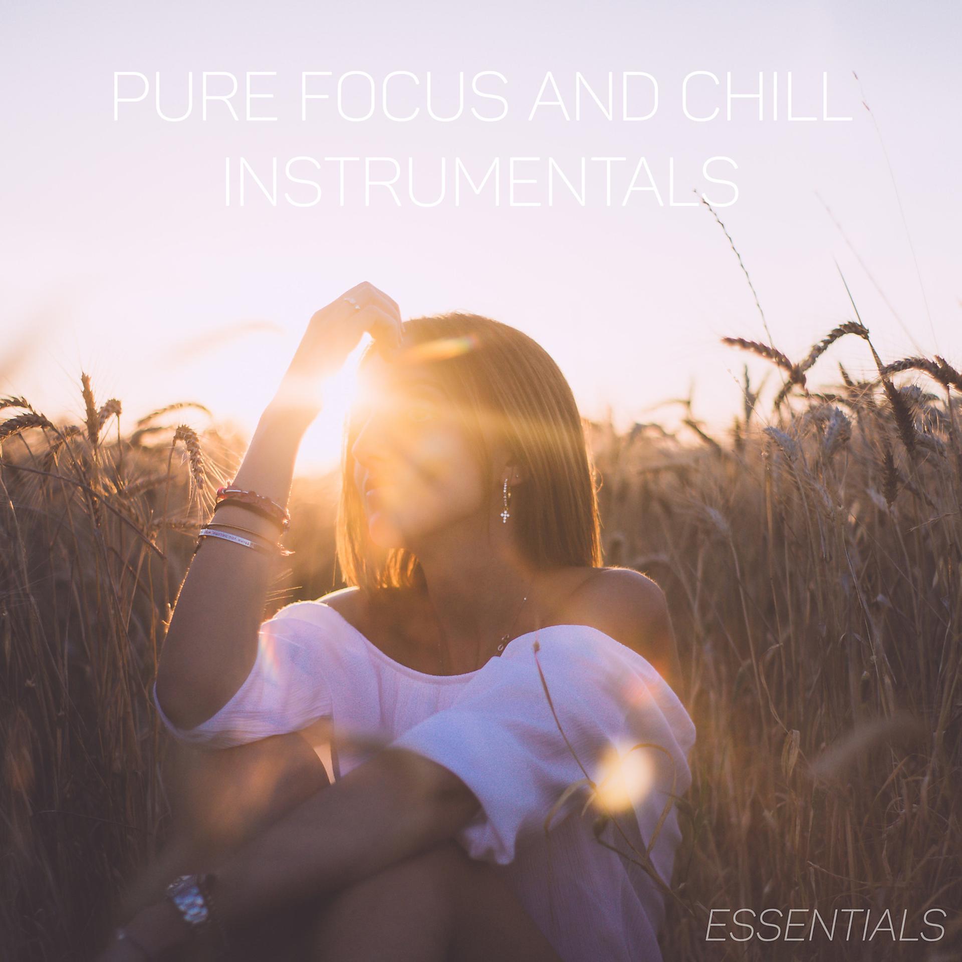 Постер альбома Pure Focus and Chill Instrumentals Essentials